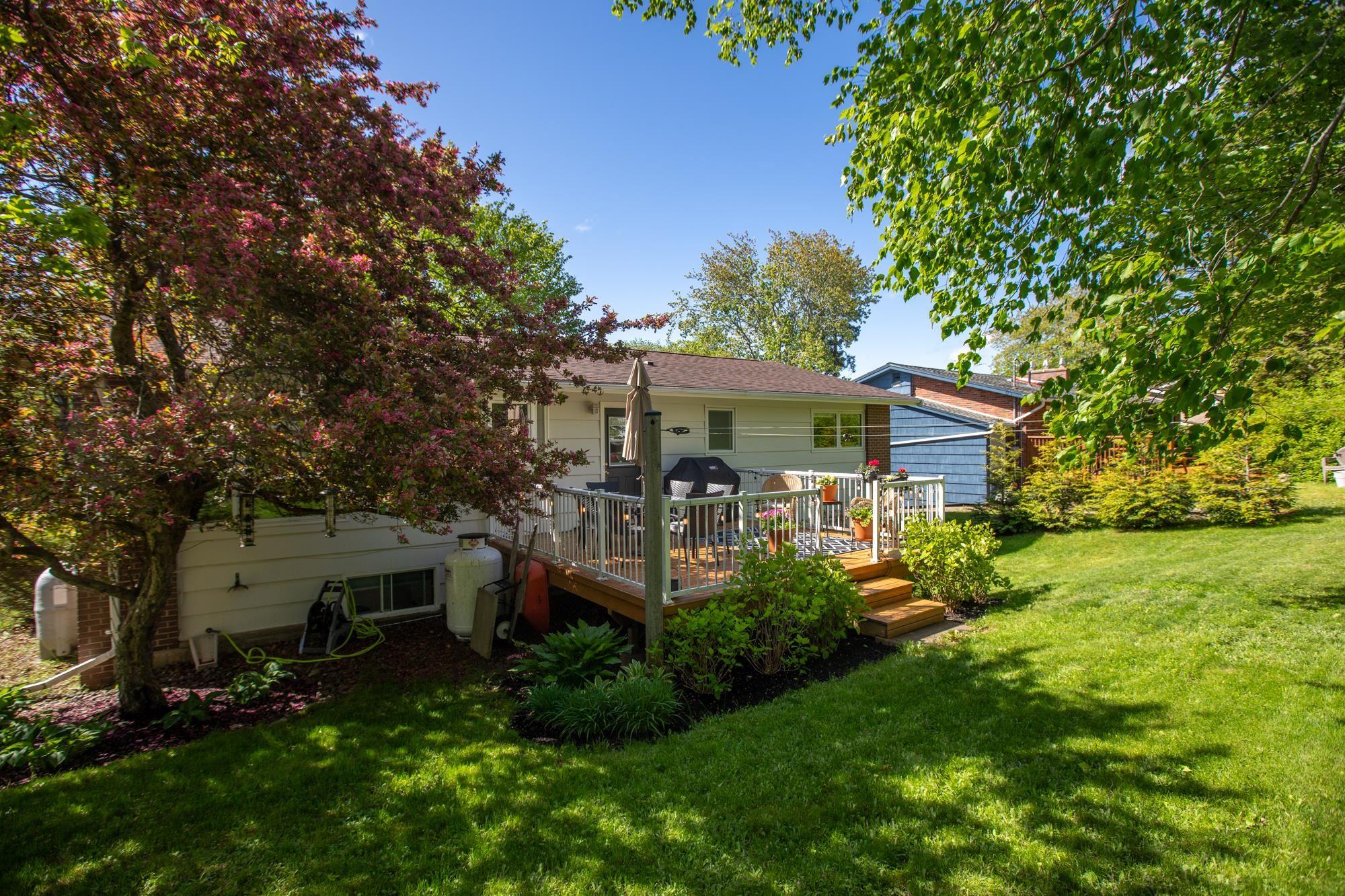 View image 29