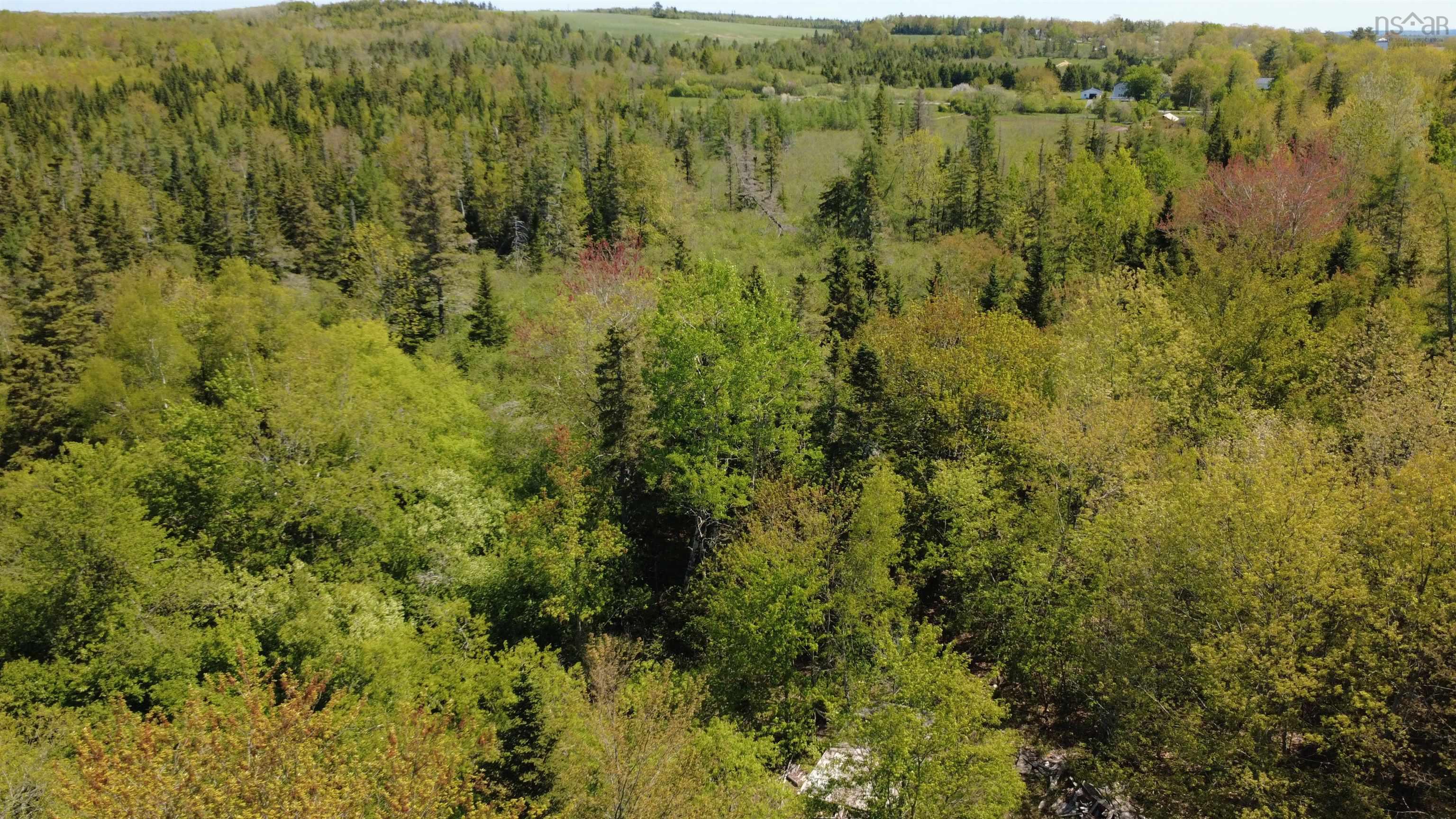 View image 13