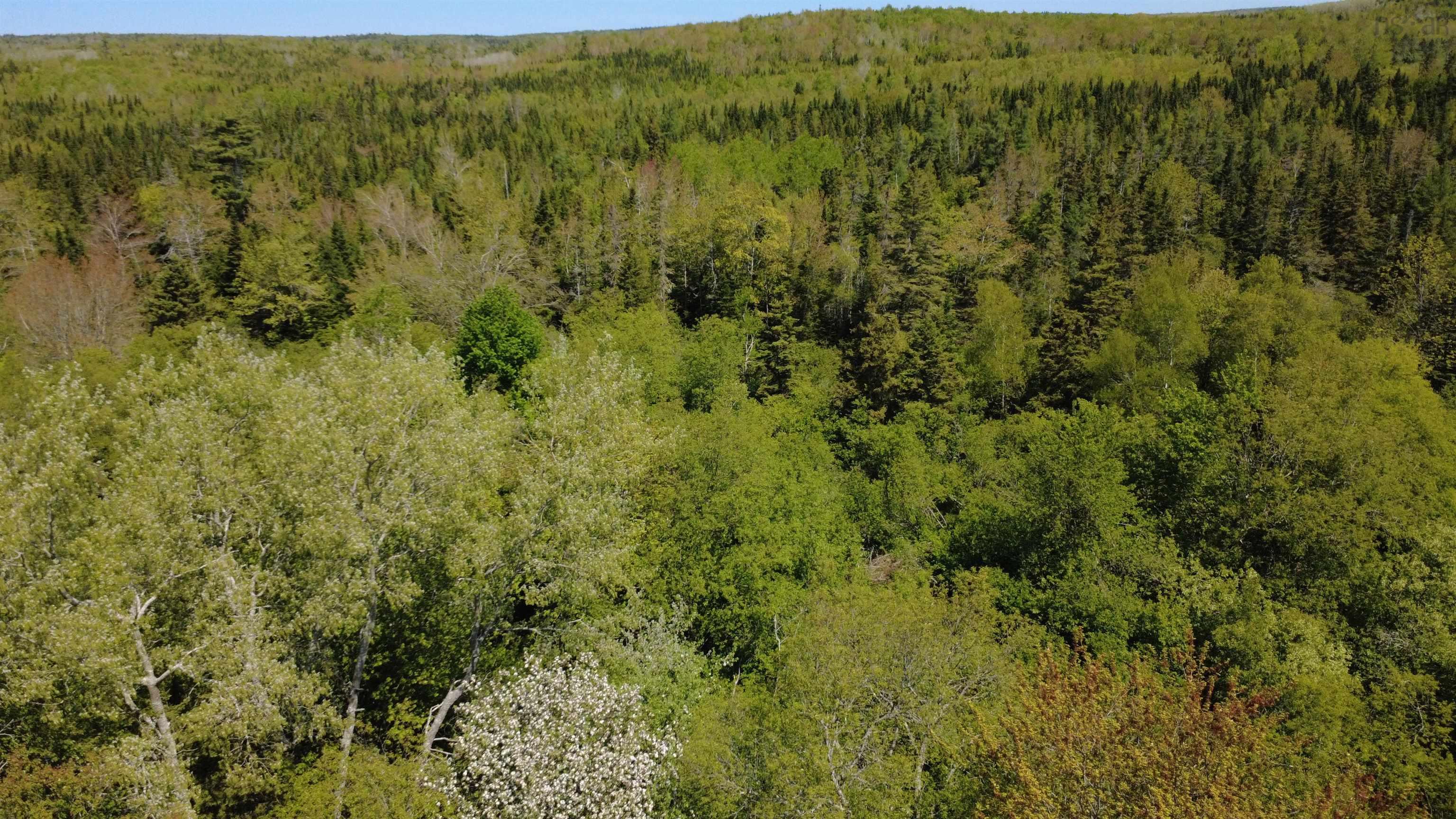 View image 7