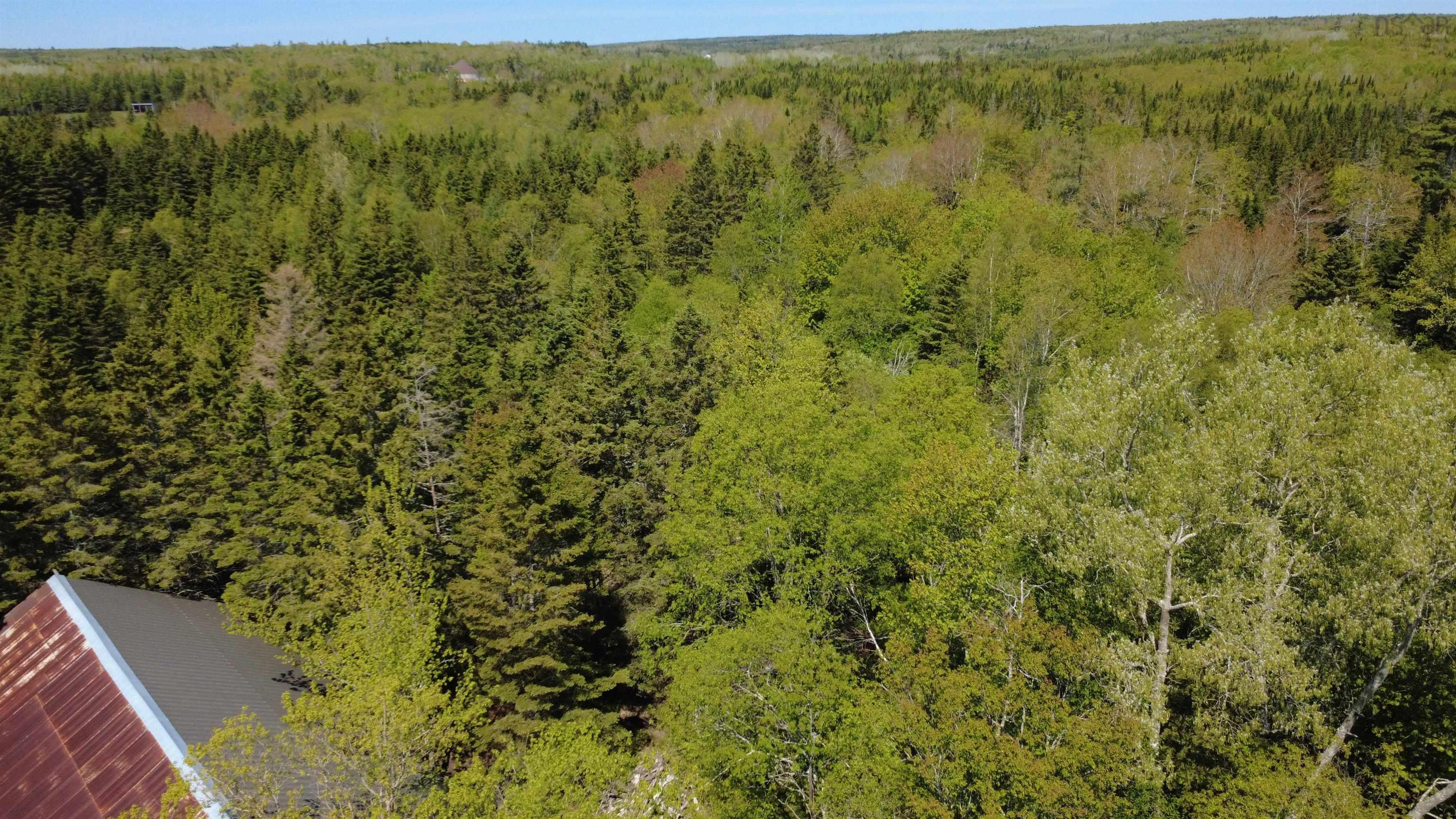 View image 8