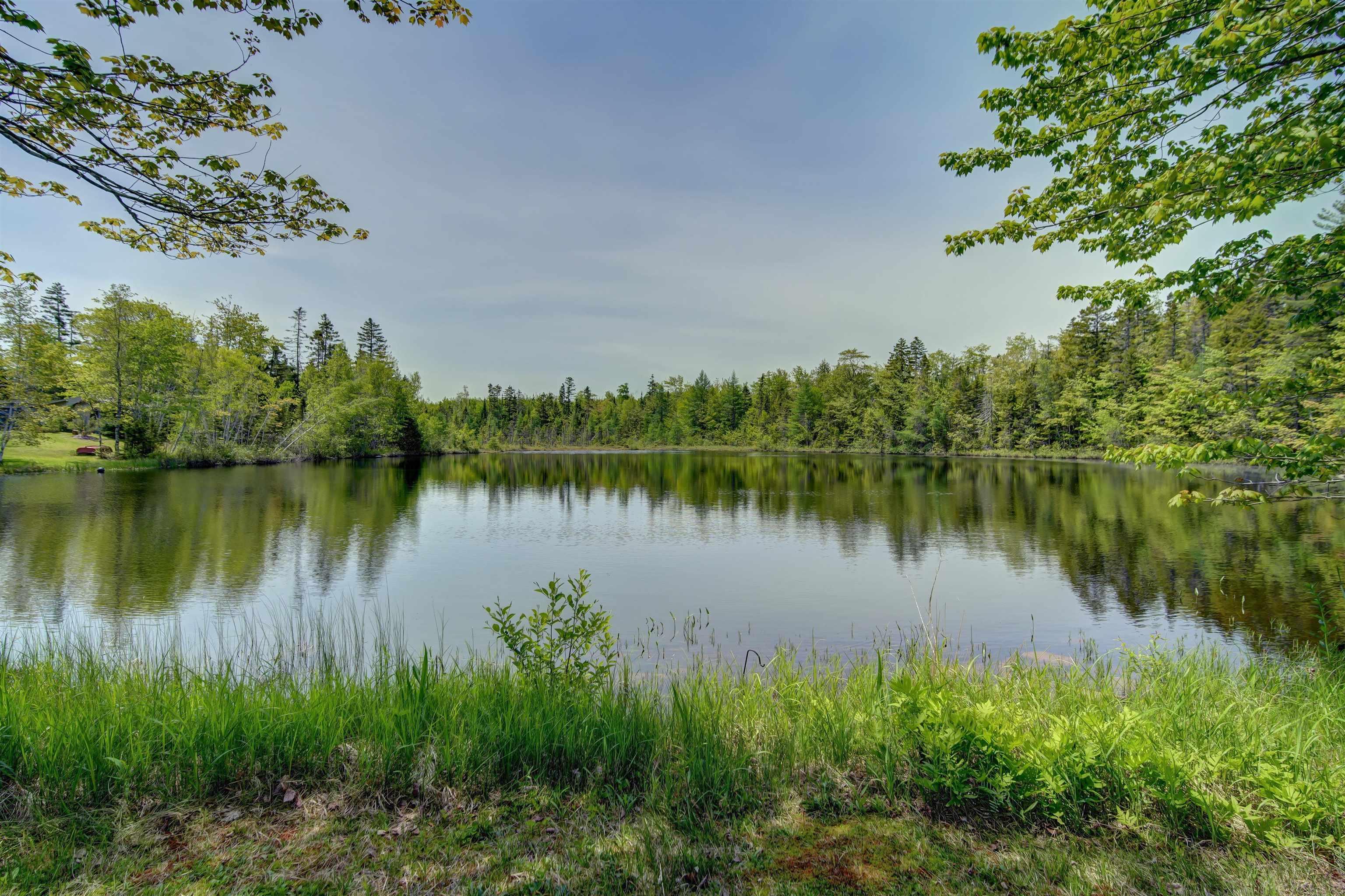 View image 14