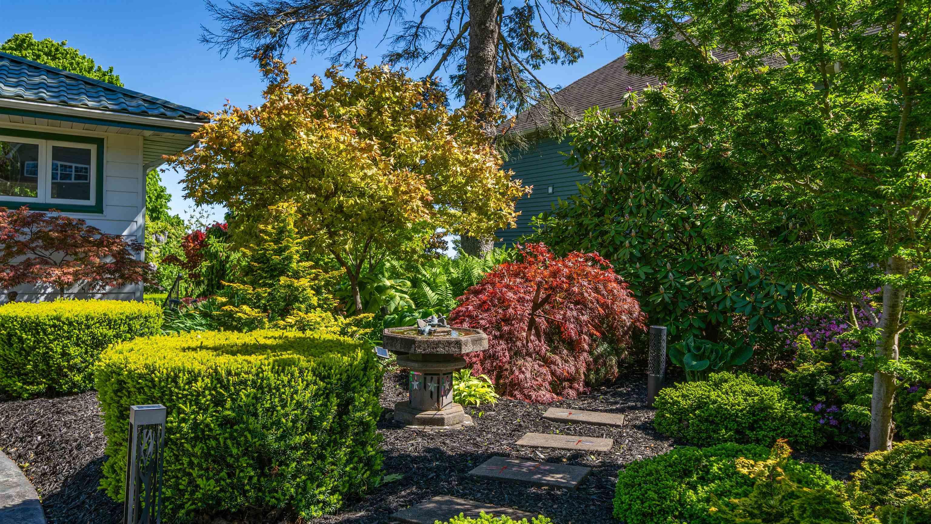 View image 36