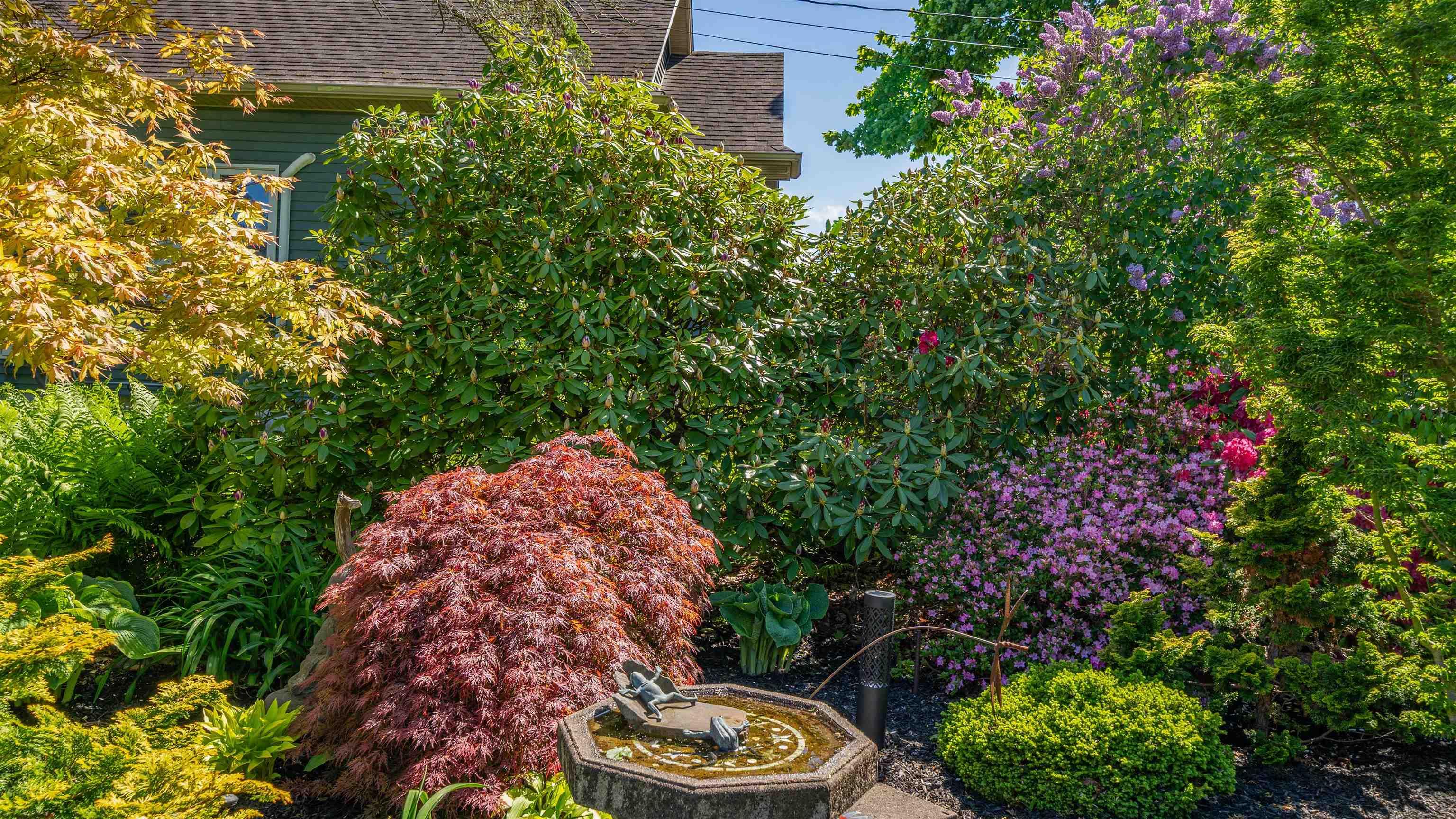 View image 37