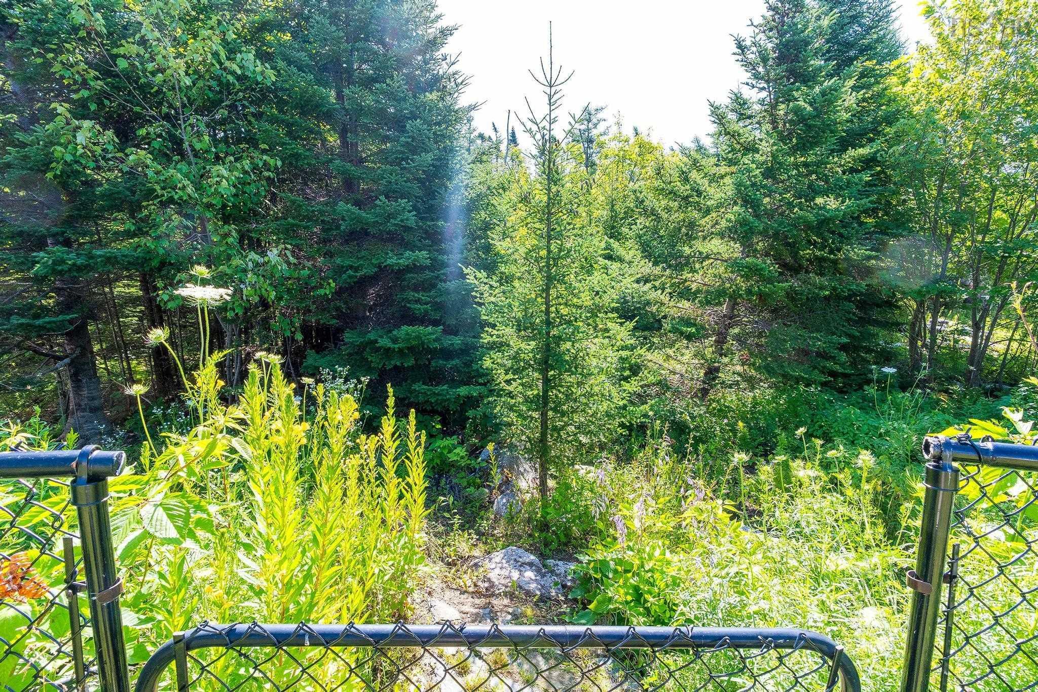 View image 35