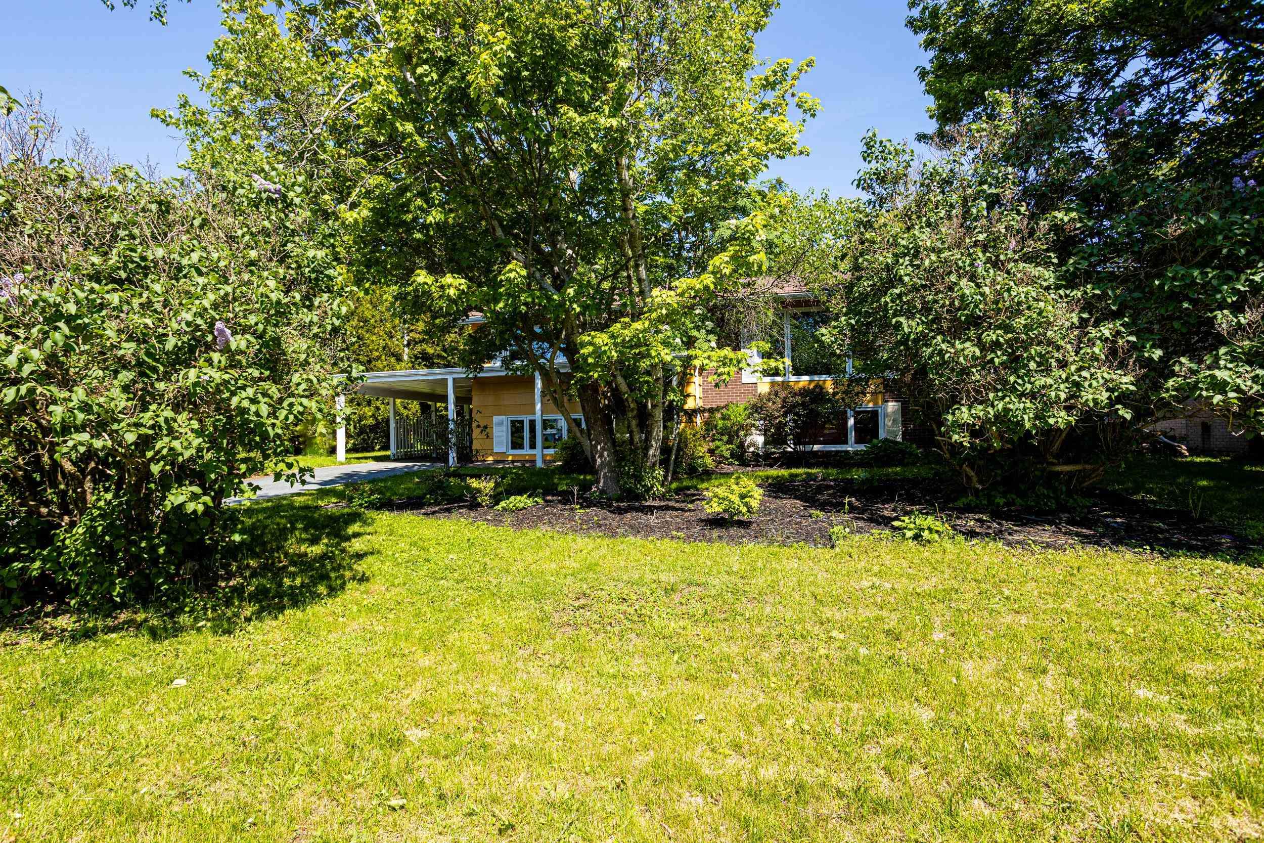 View image 6