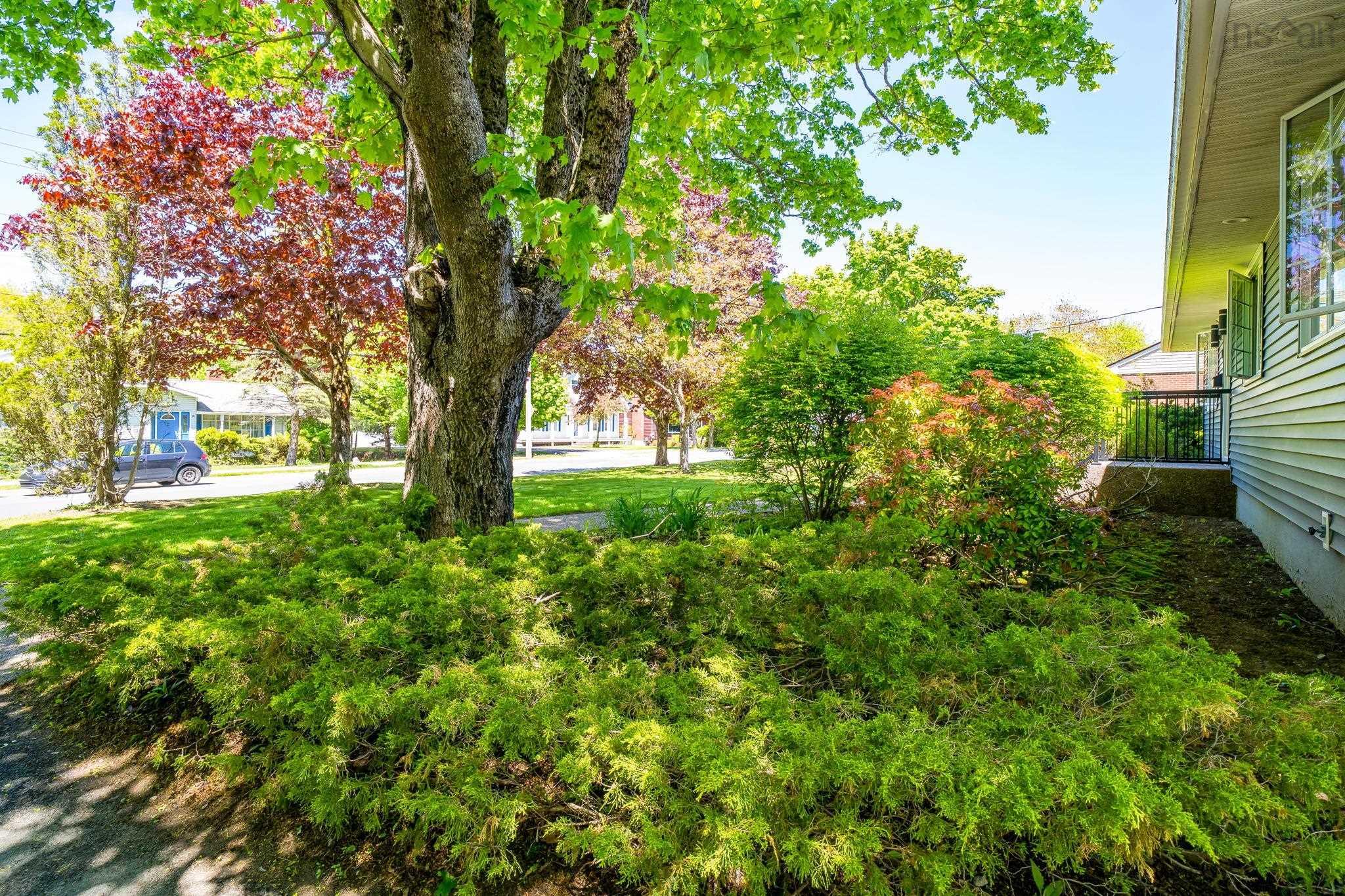 View image 35
