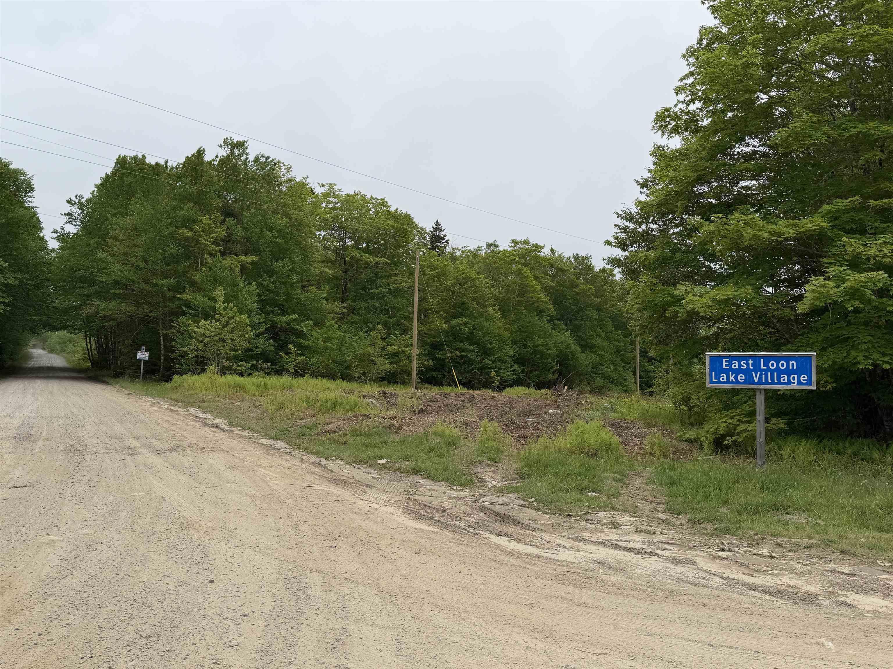 View image 41