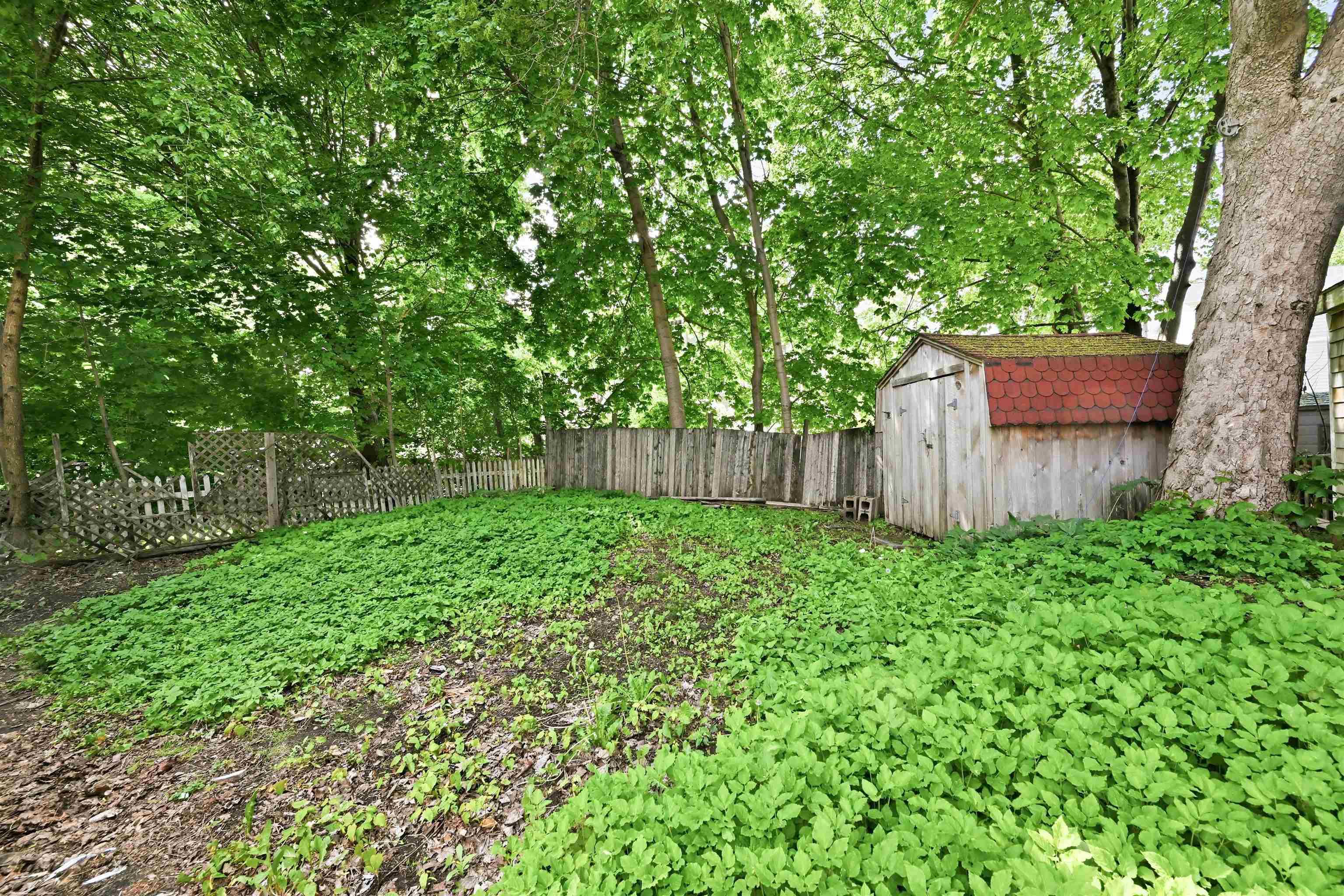 View image 41