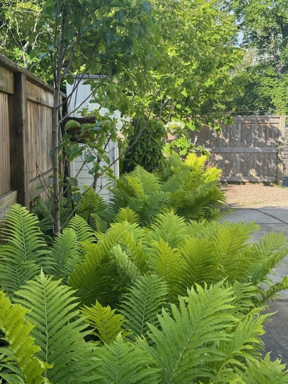 View image 45