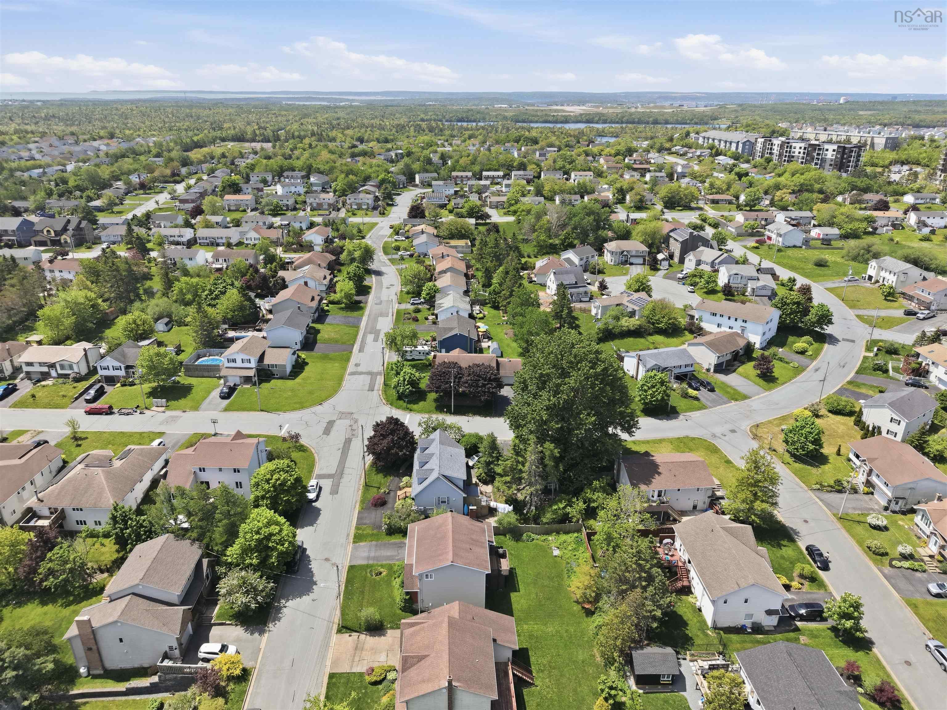 View image 50