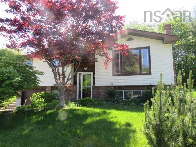 View image 41