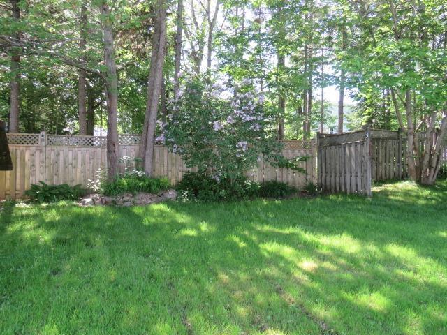 View image 46