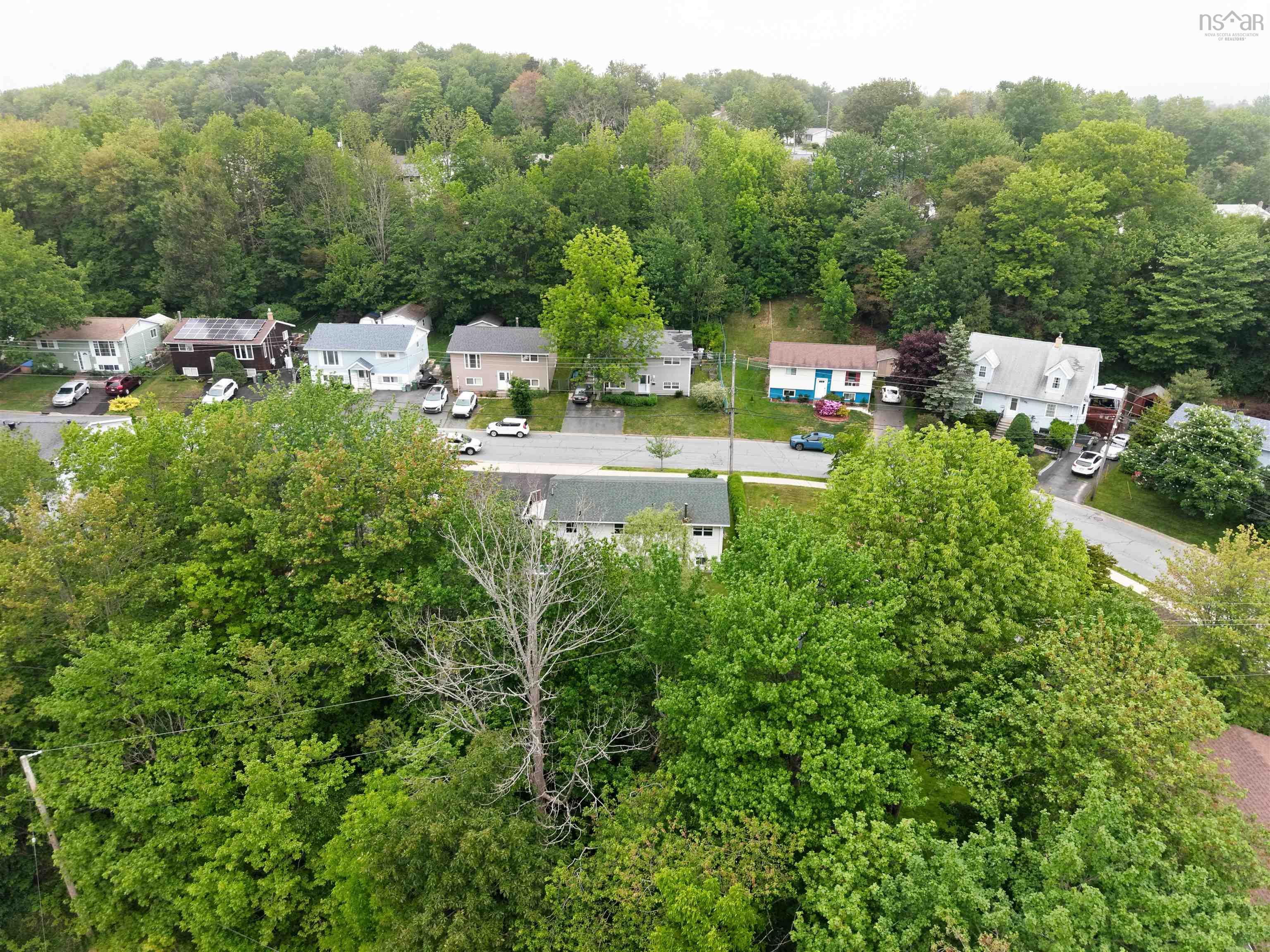 View image 43