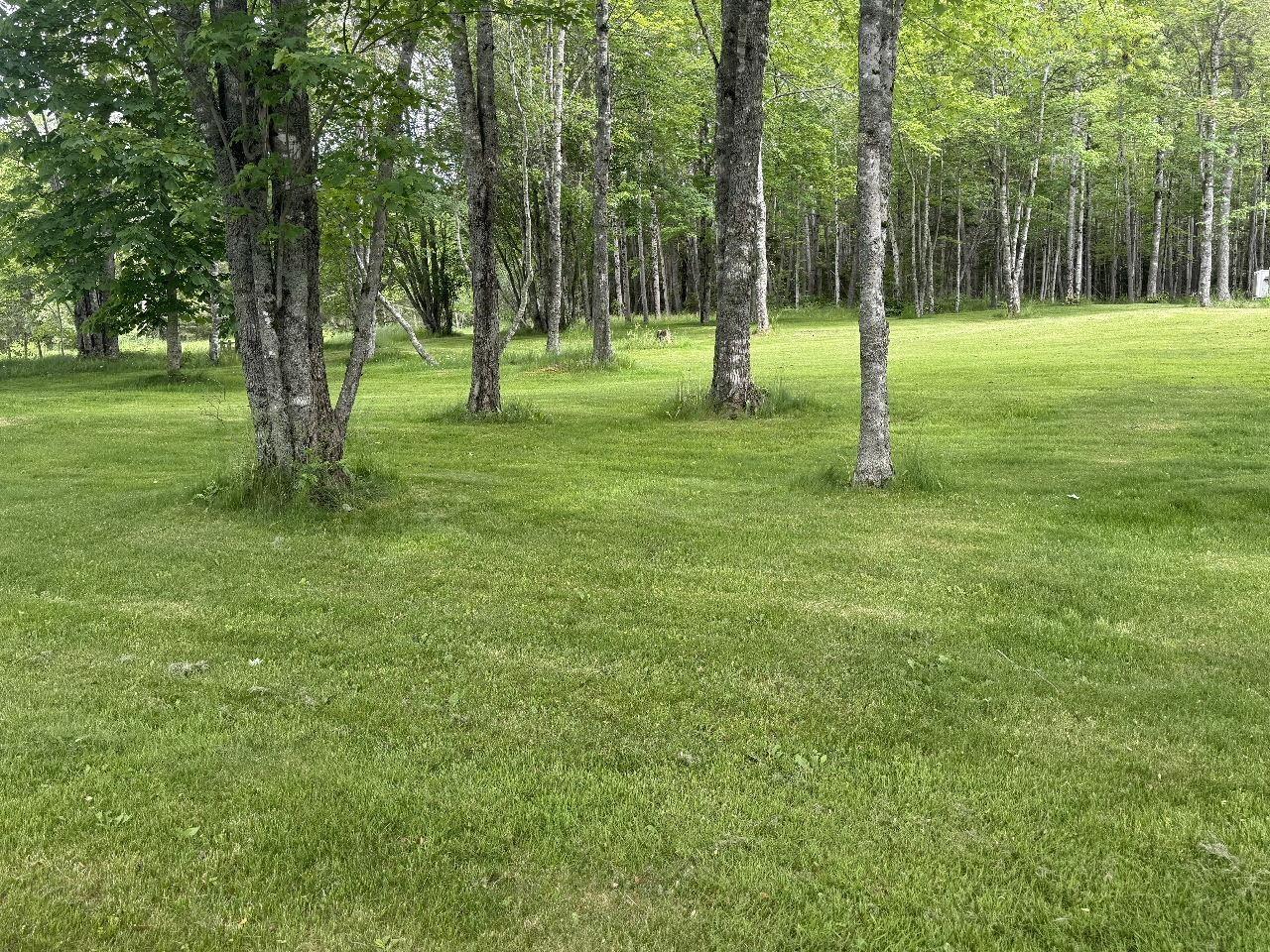 View image 31