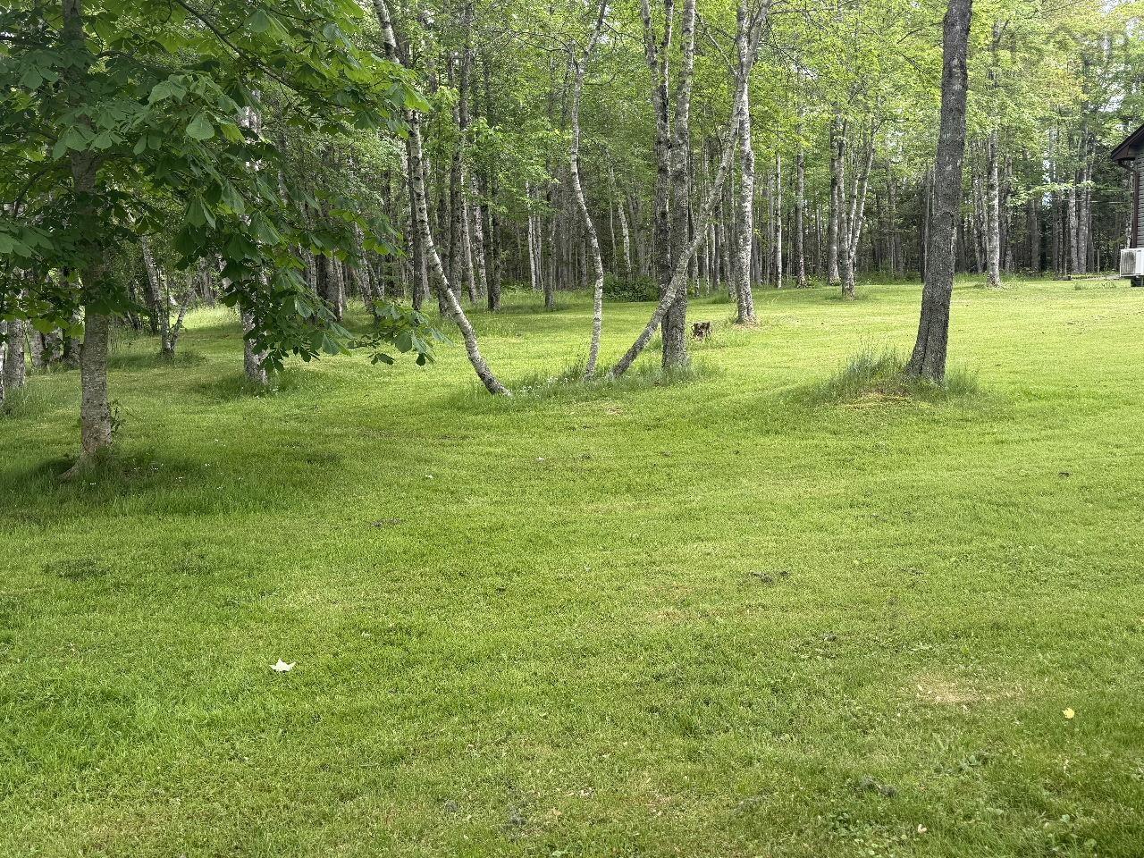 View image 33