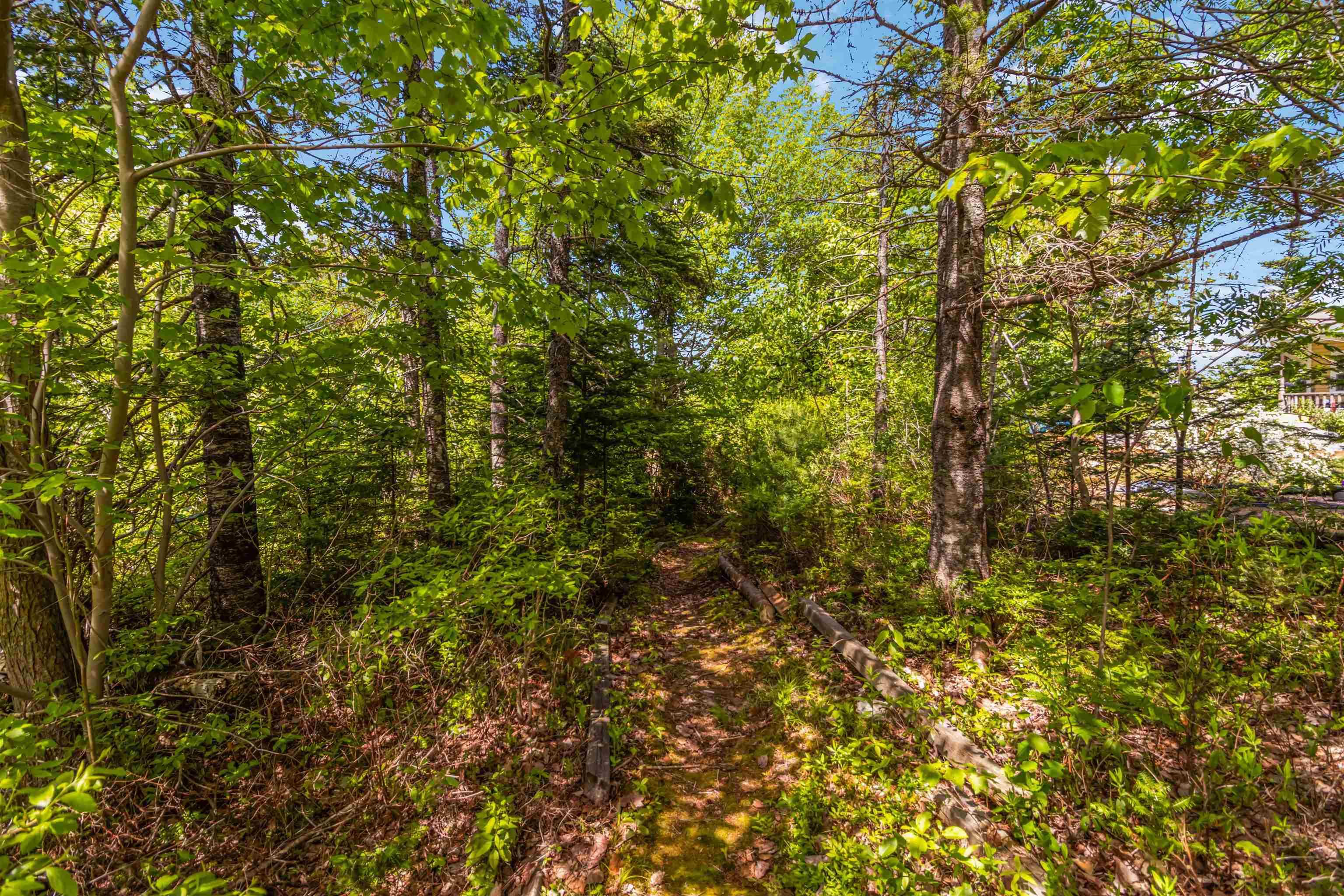 View image 38