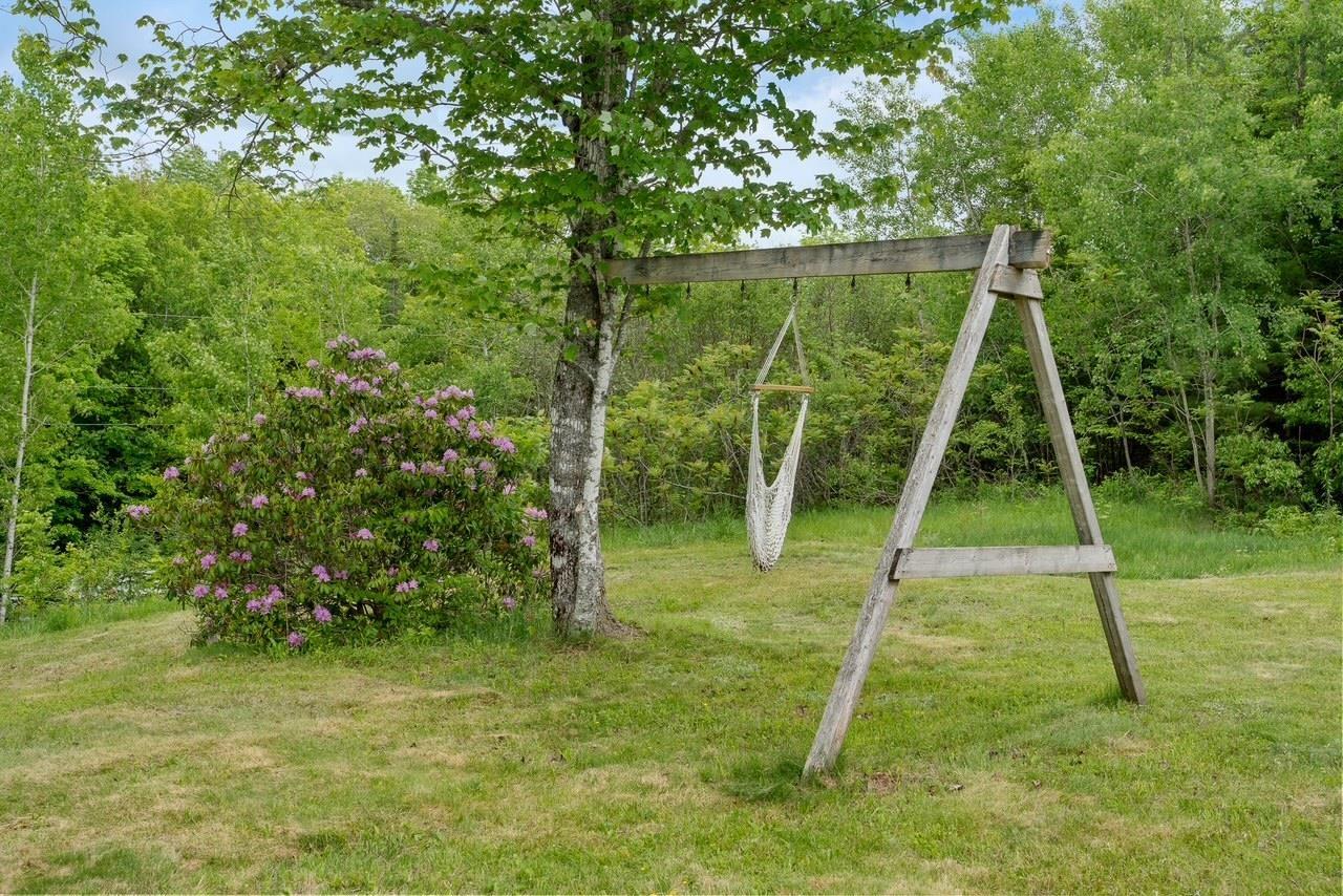 View image 41