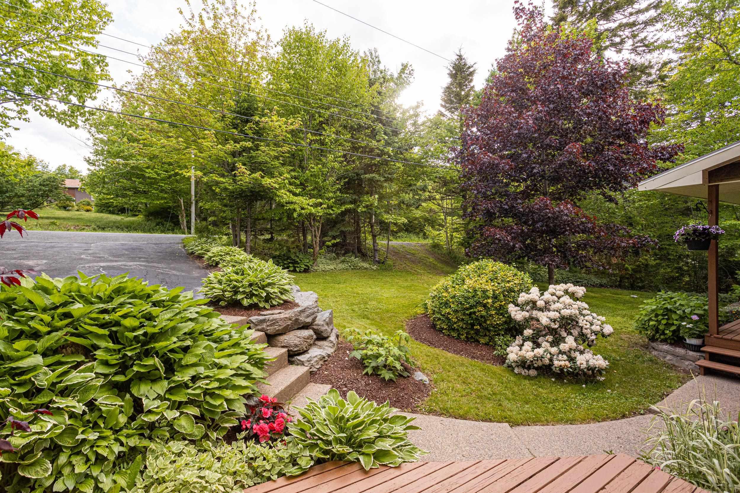View image 41