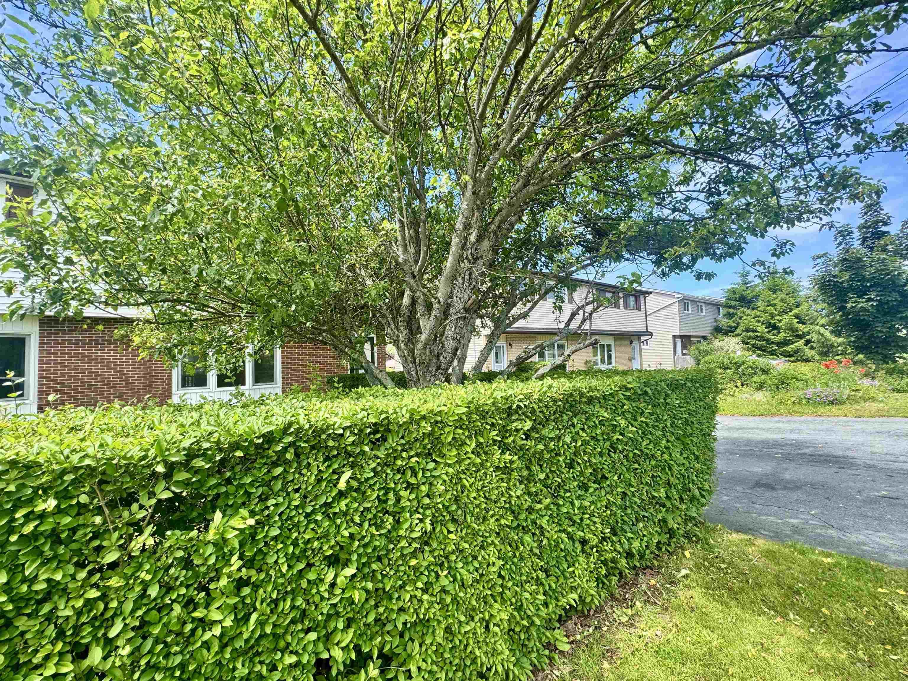 View image 48