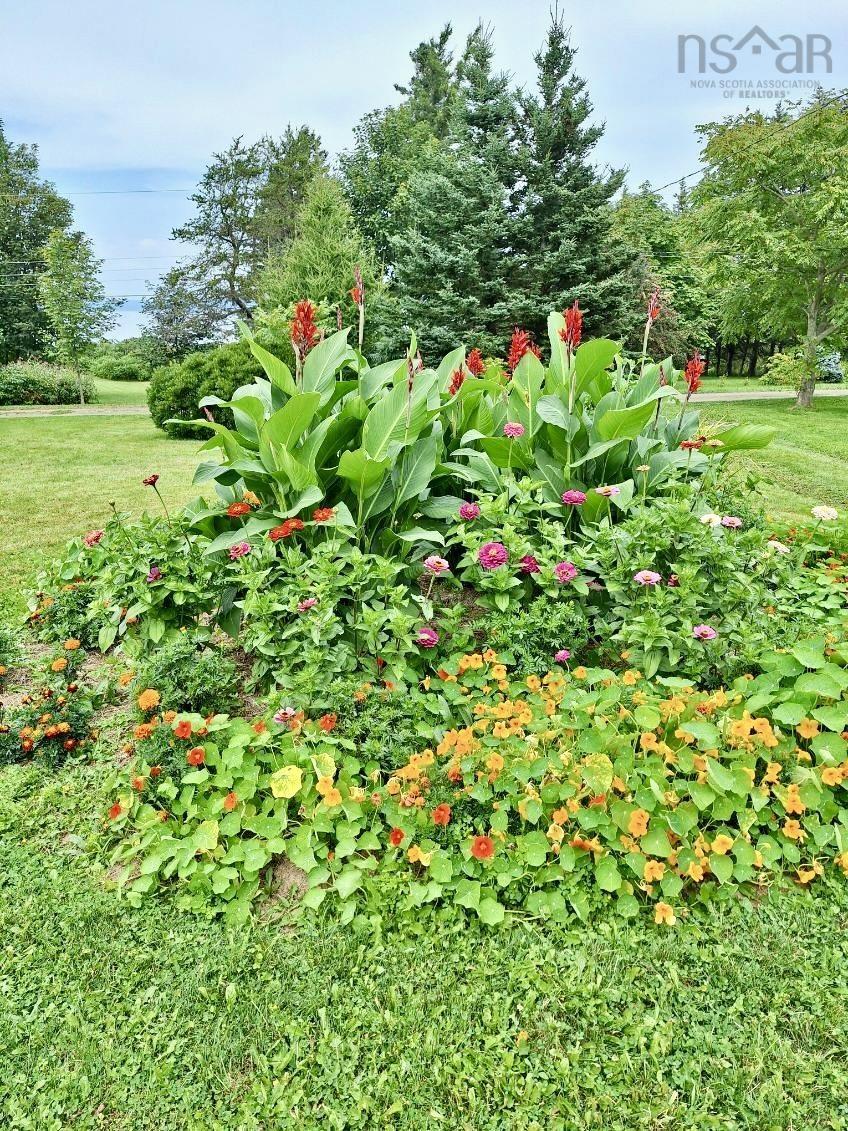 View image 23