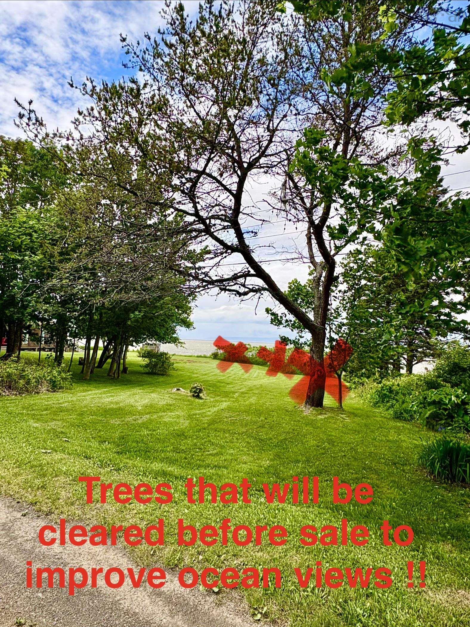 View image 25