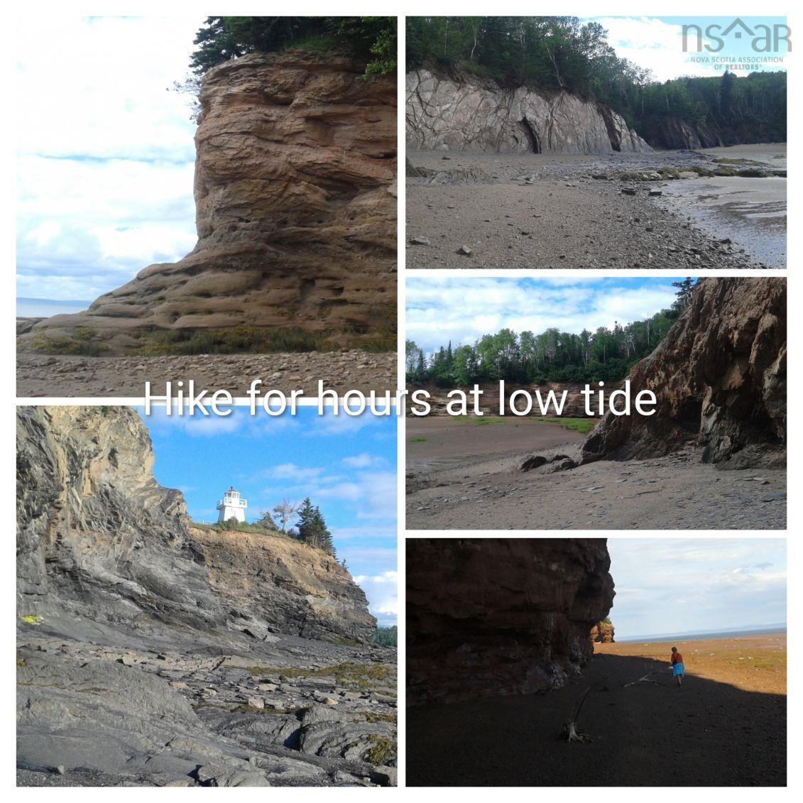 View image 42