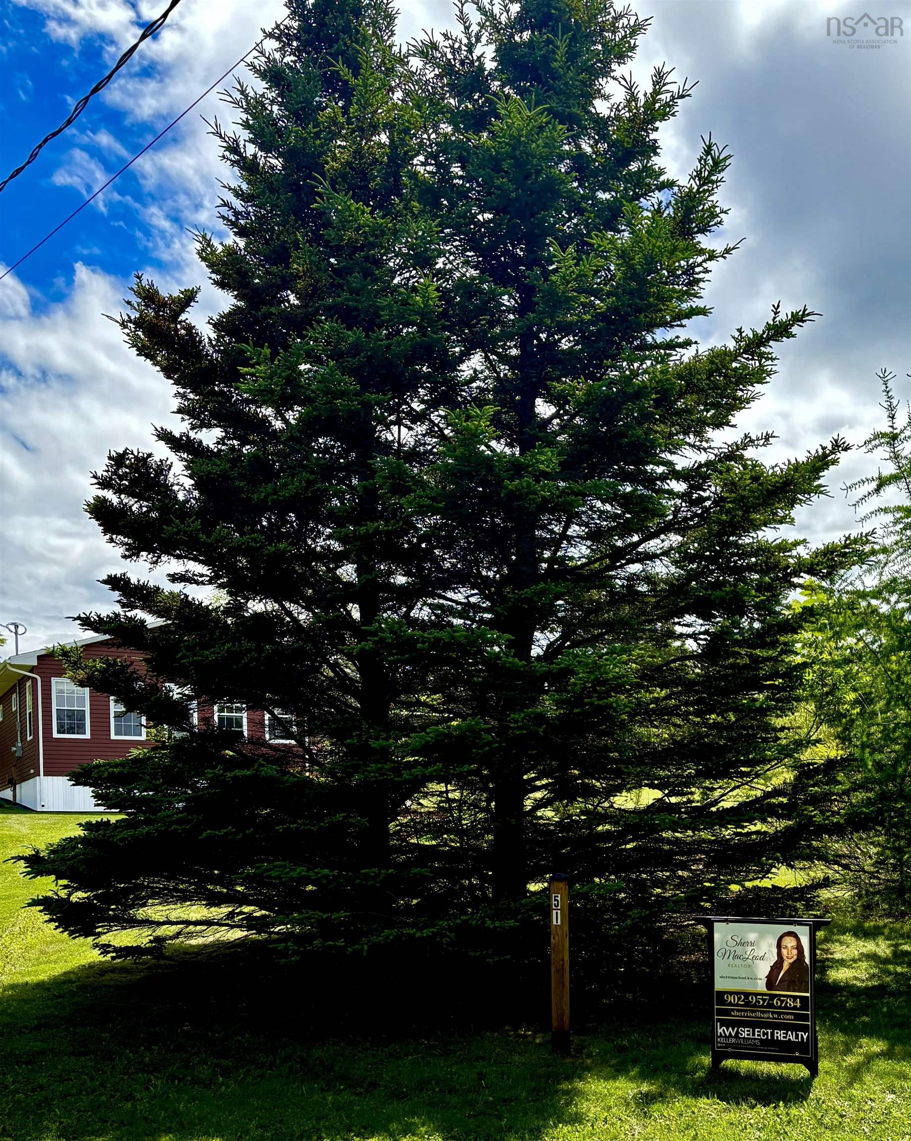 View image 9