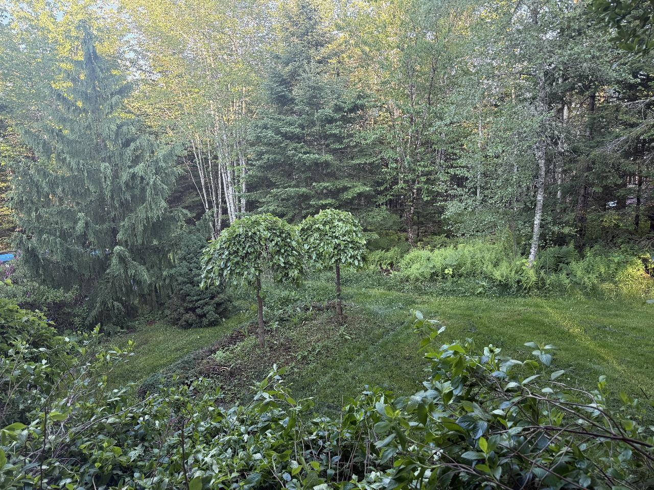 View image 40
