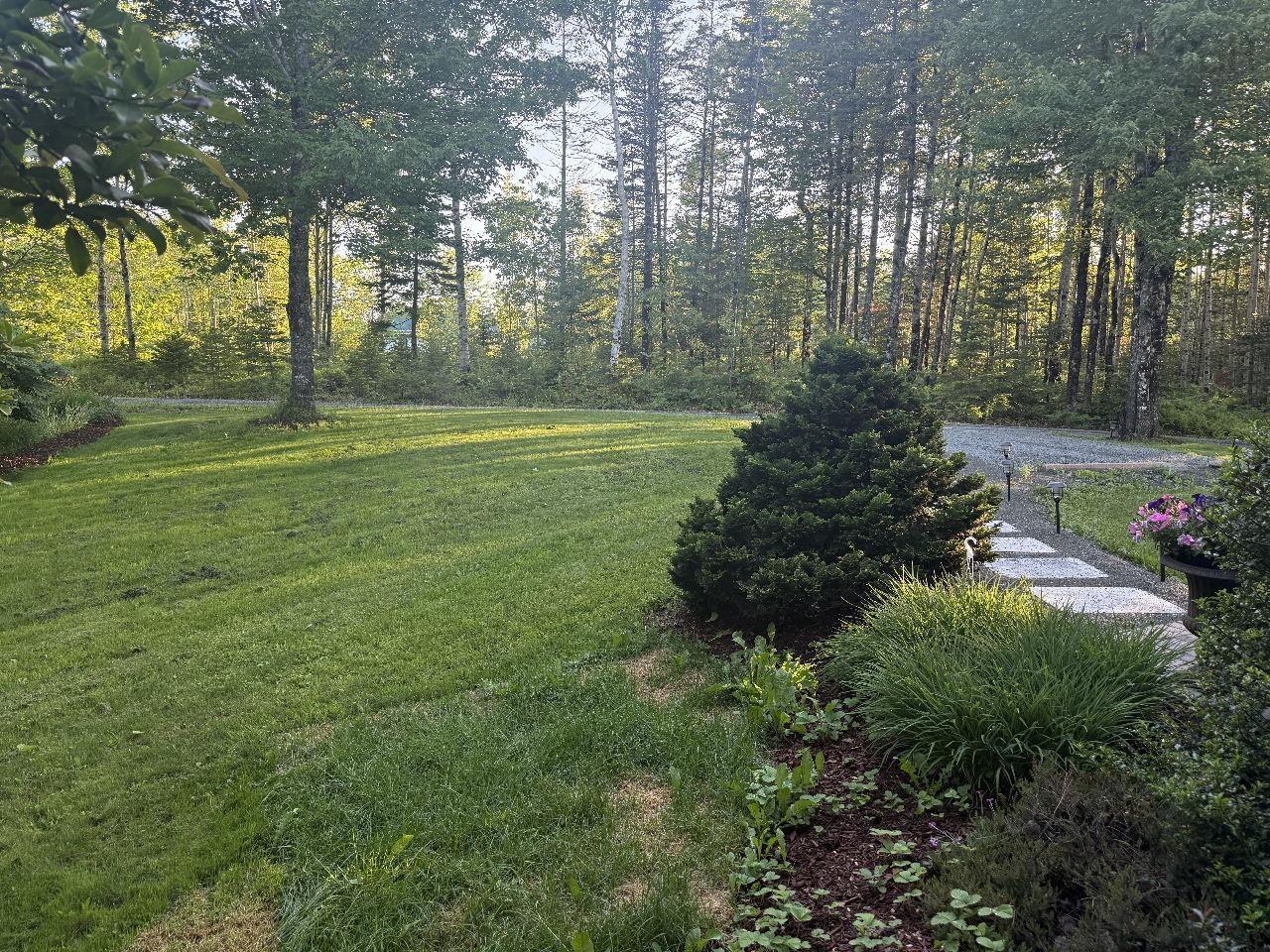 View image 41