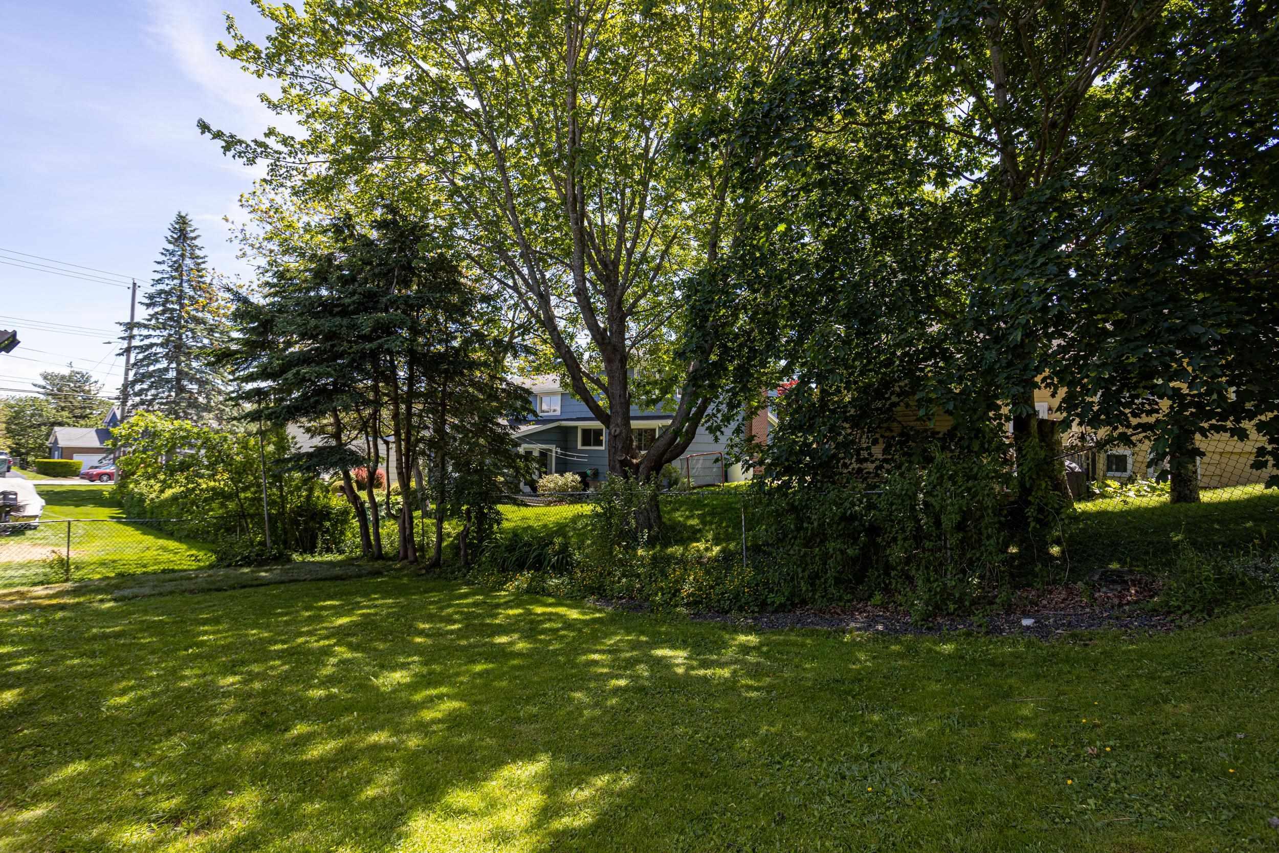View image 4