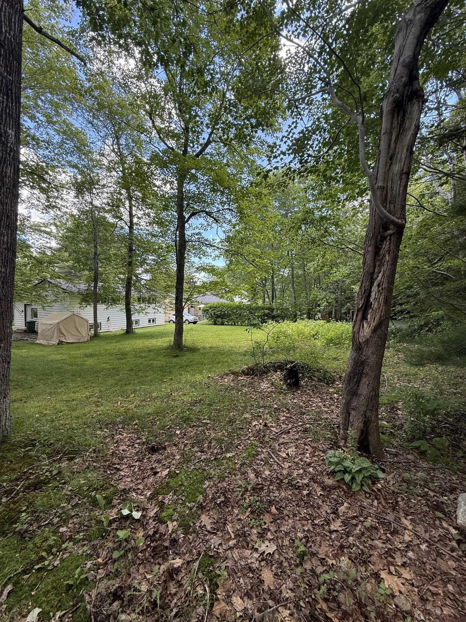View image 8