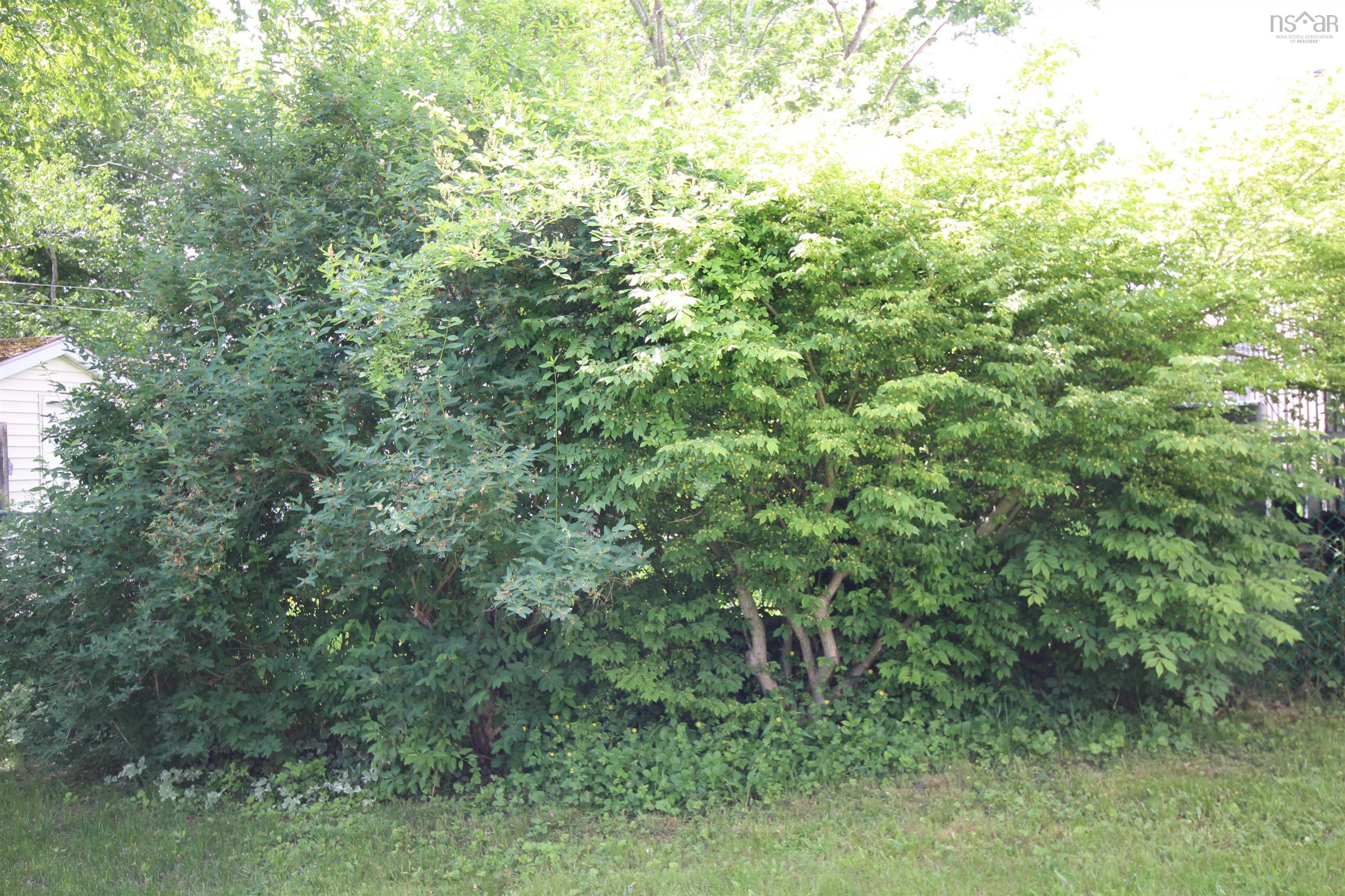View image 10