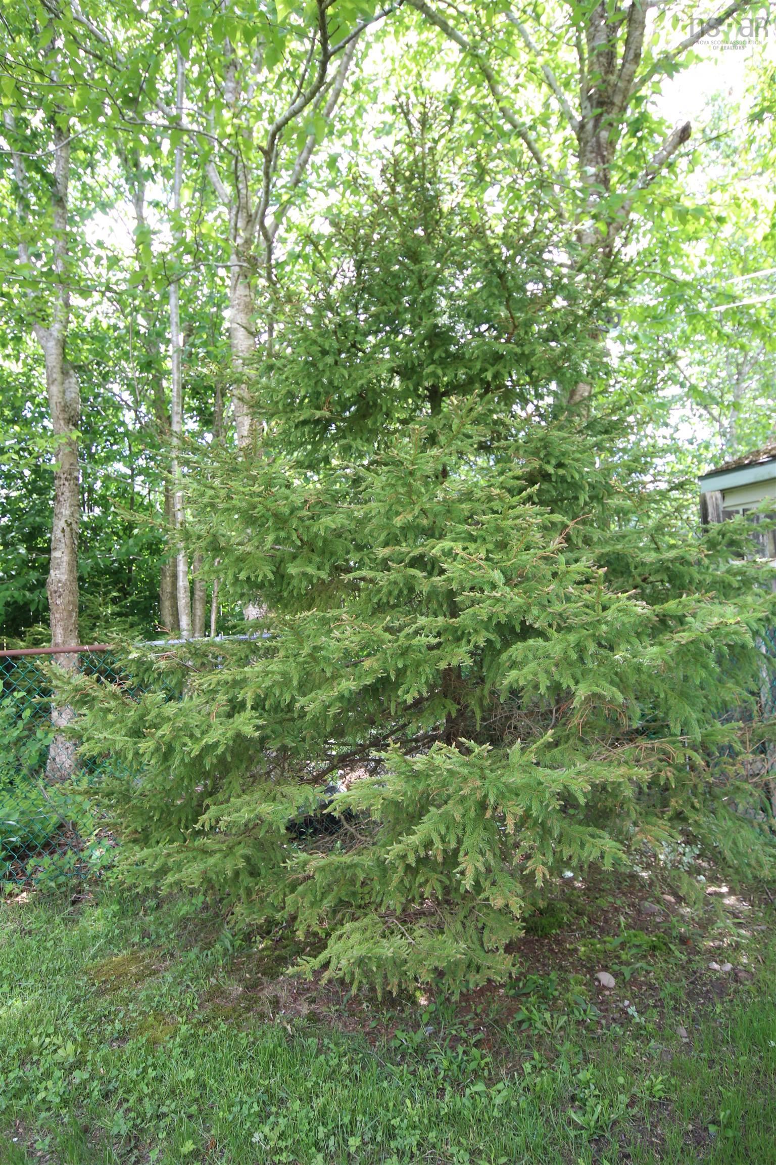 View image 9