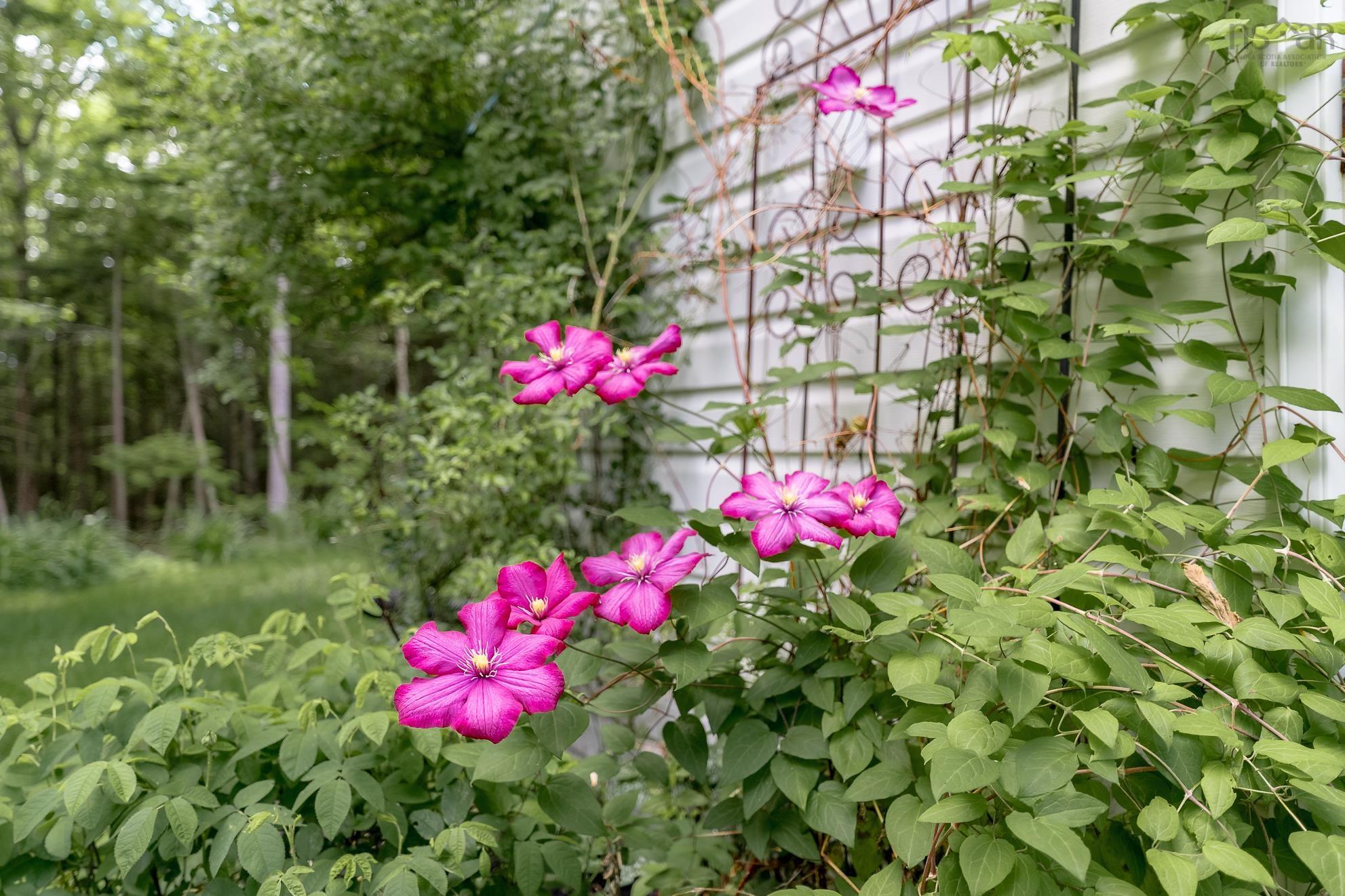 View image 50