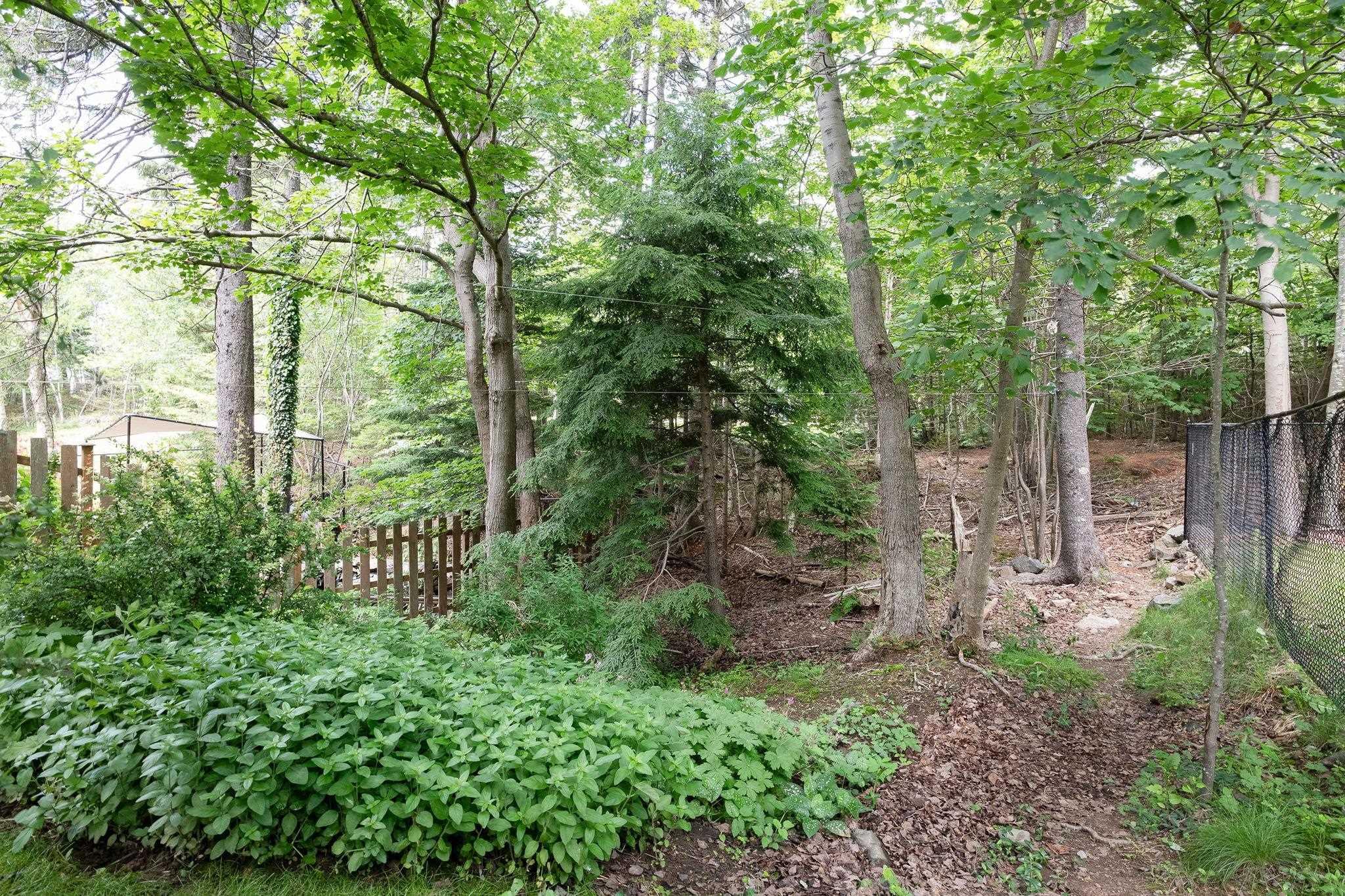 View image 30
