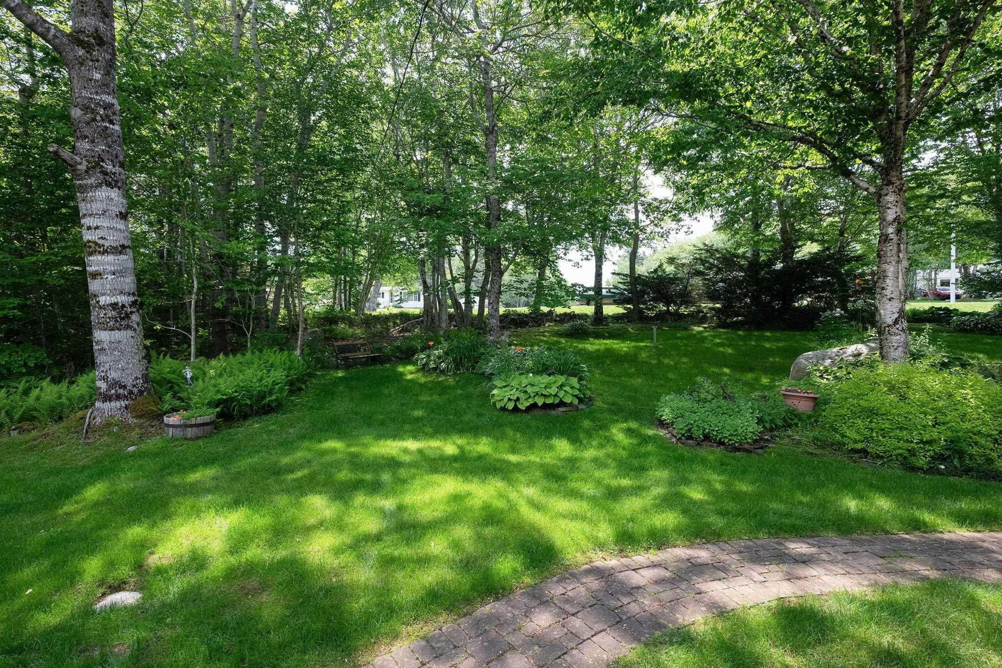 View image 41