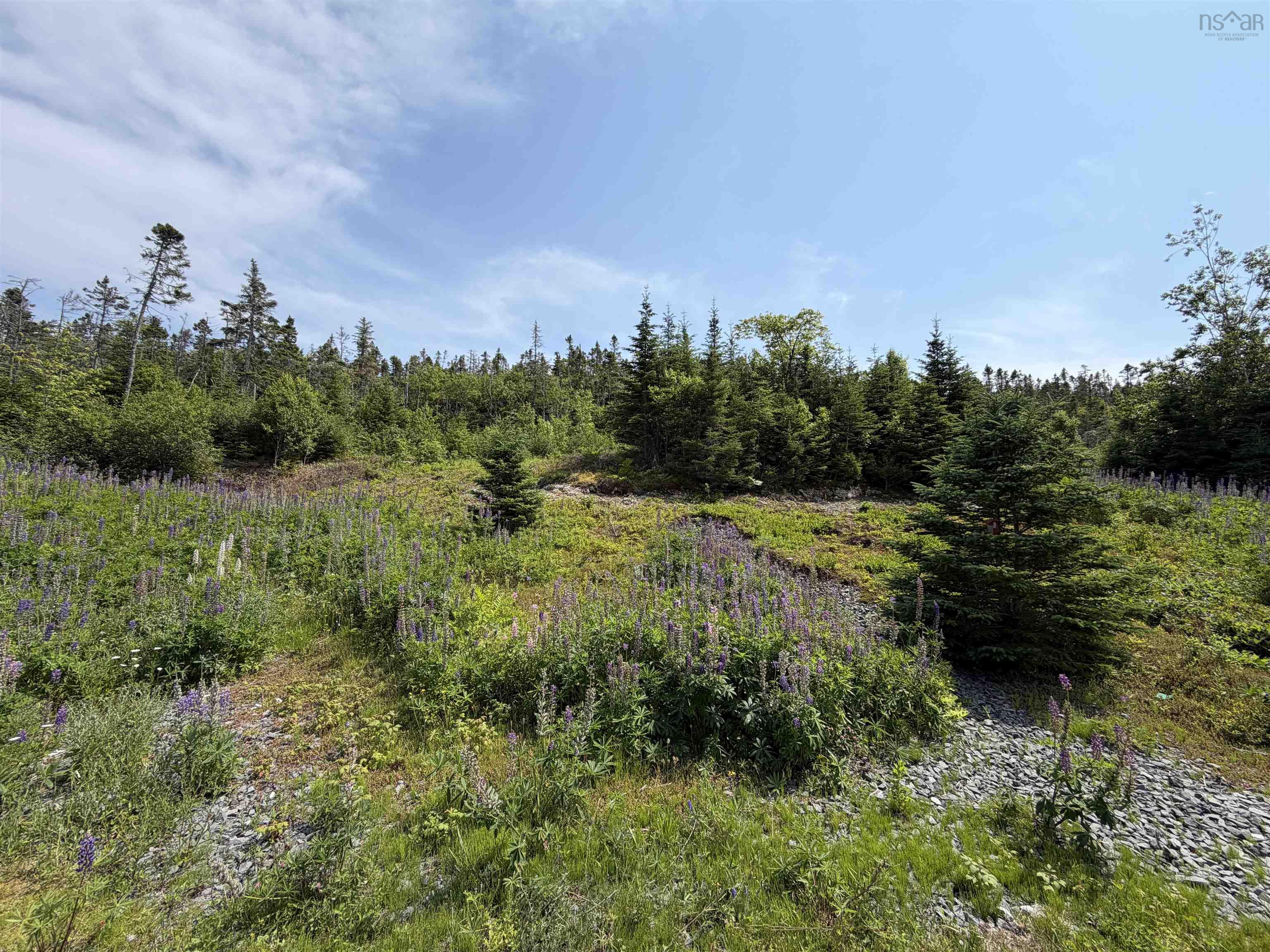 View image 17