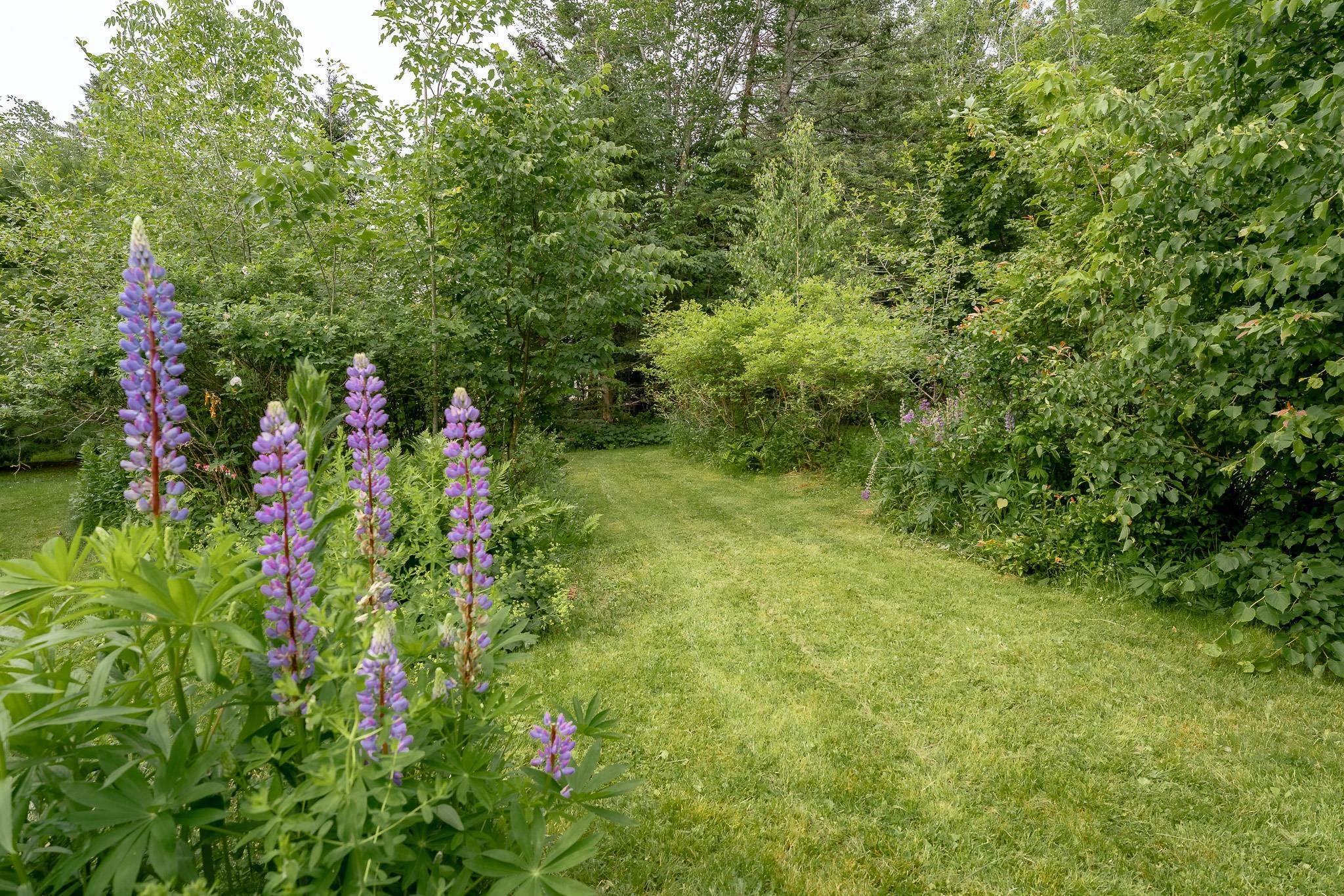 View image 48