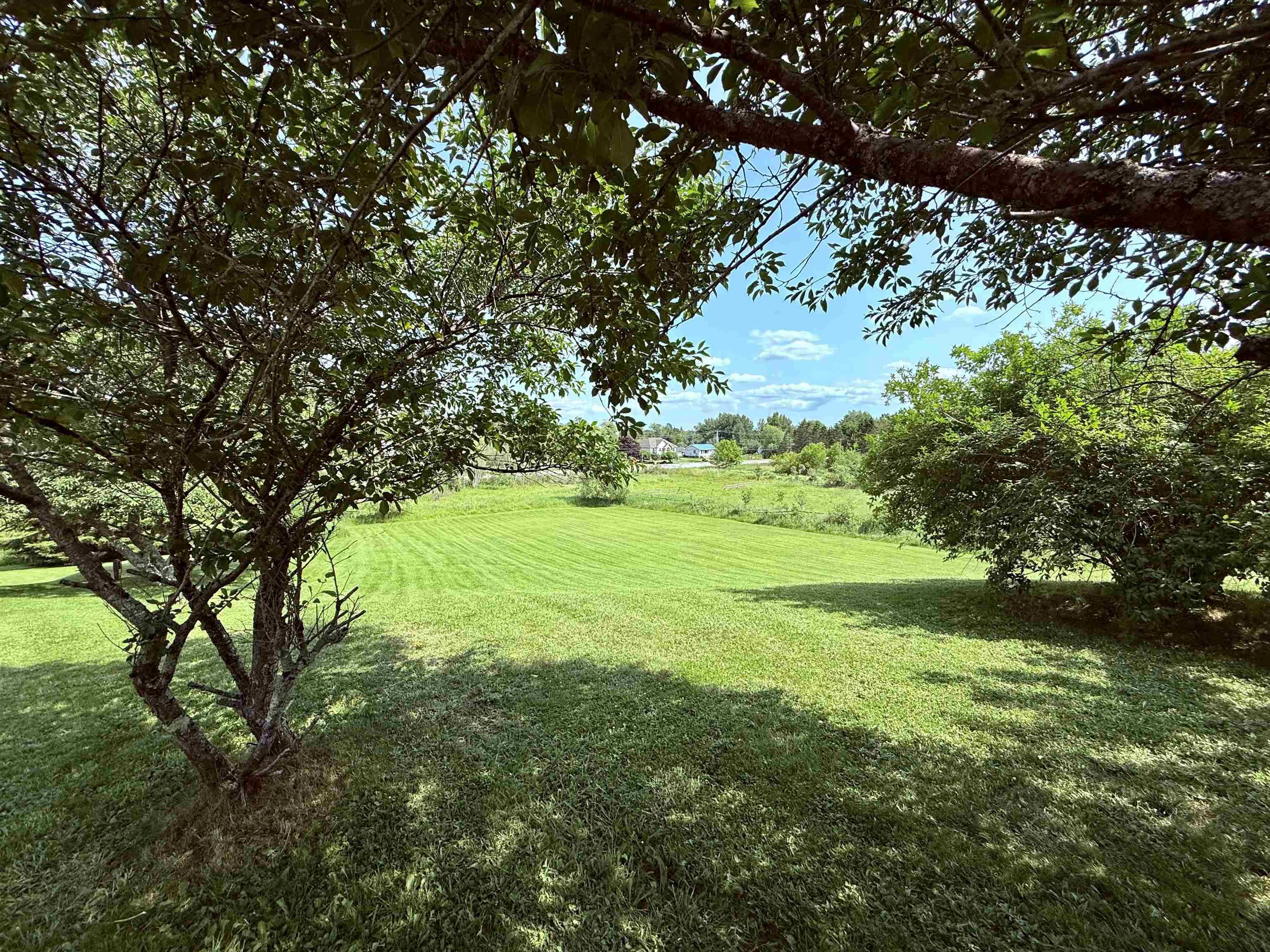 View image 5