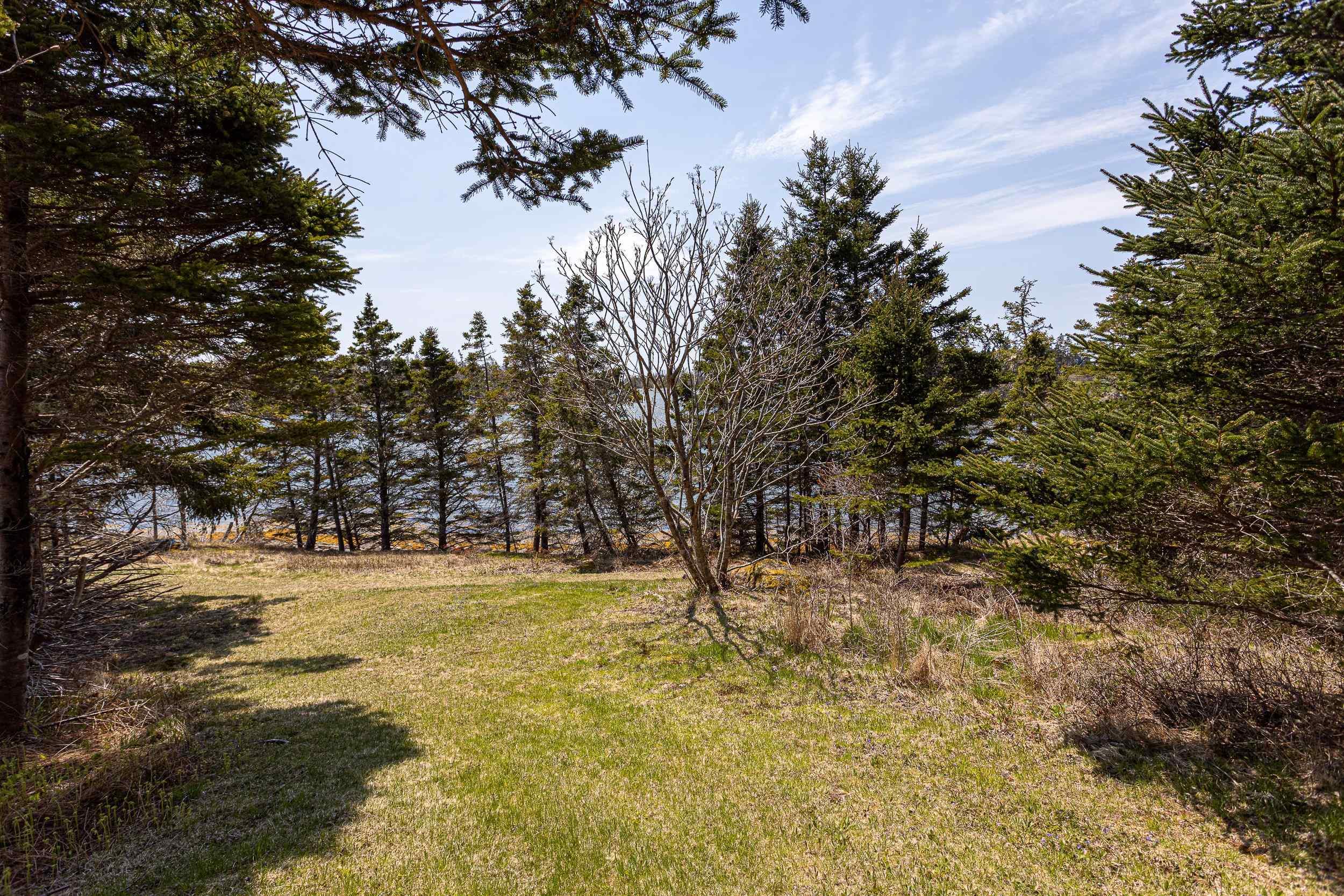 View image 17