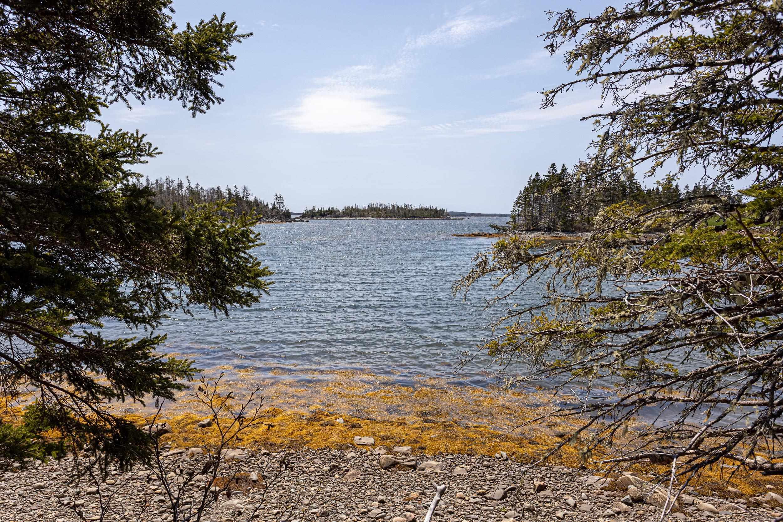 View image 18