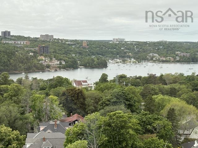 View image 7
