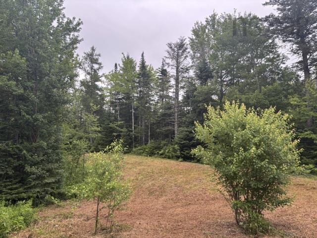 View image 2