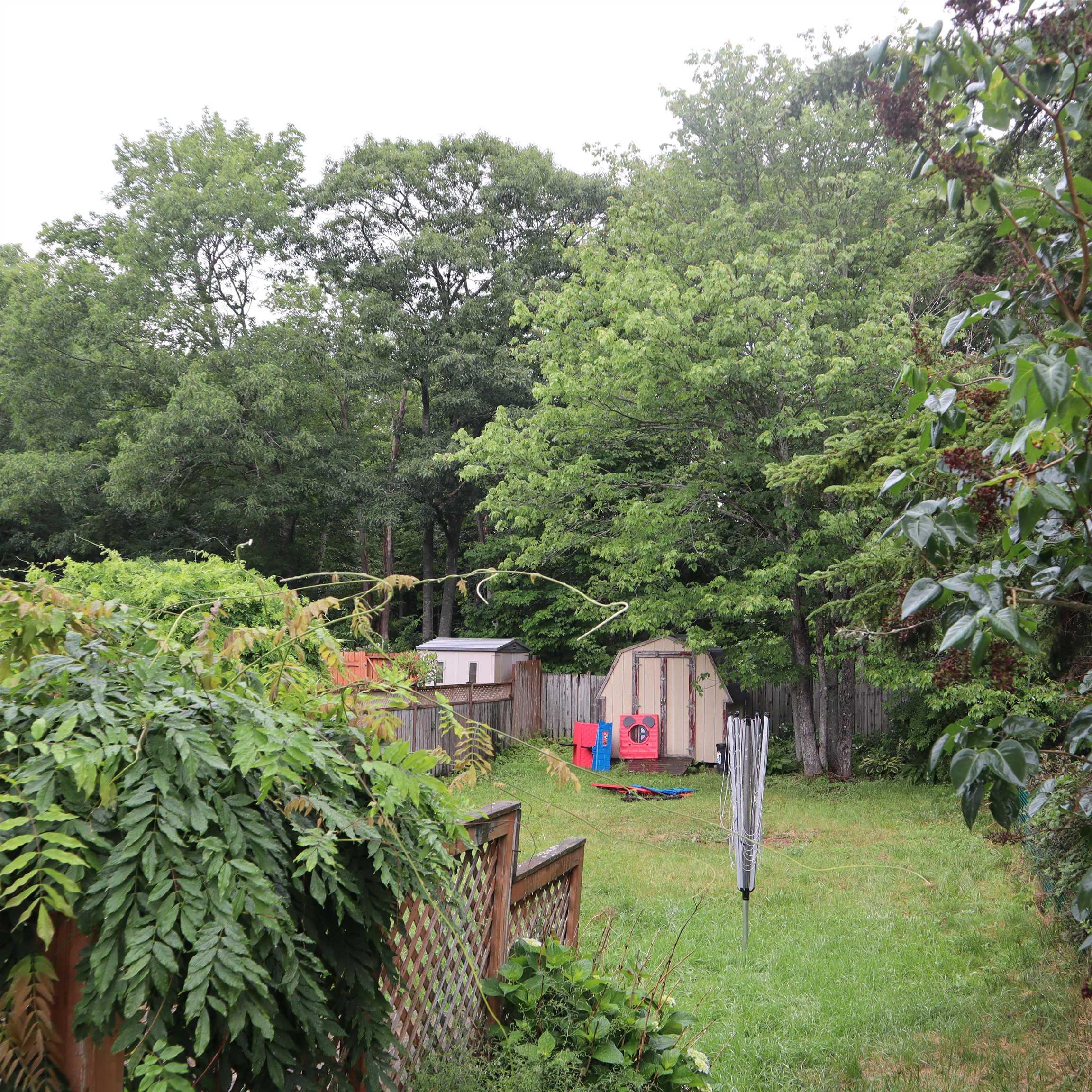 View image 3