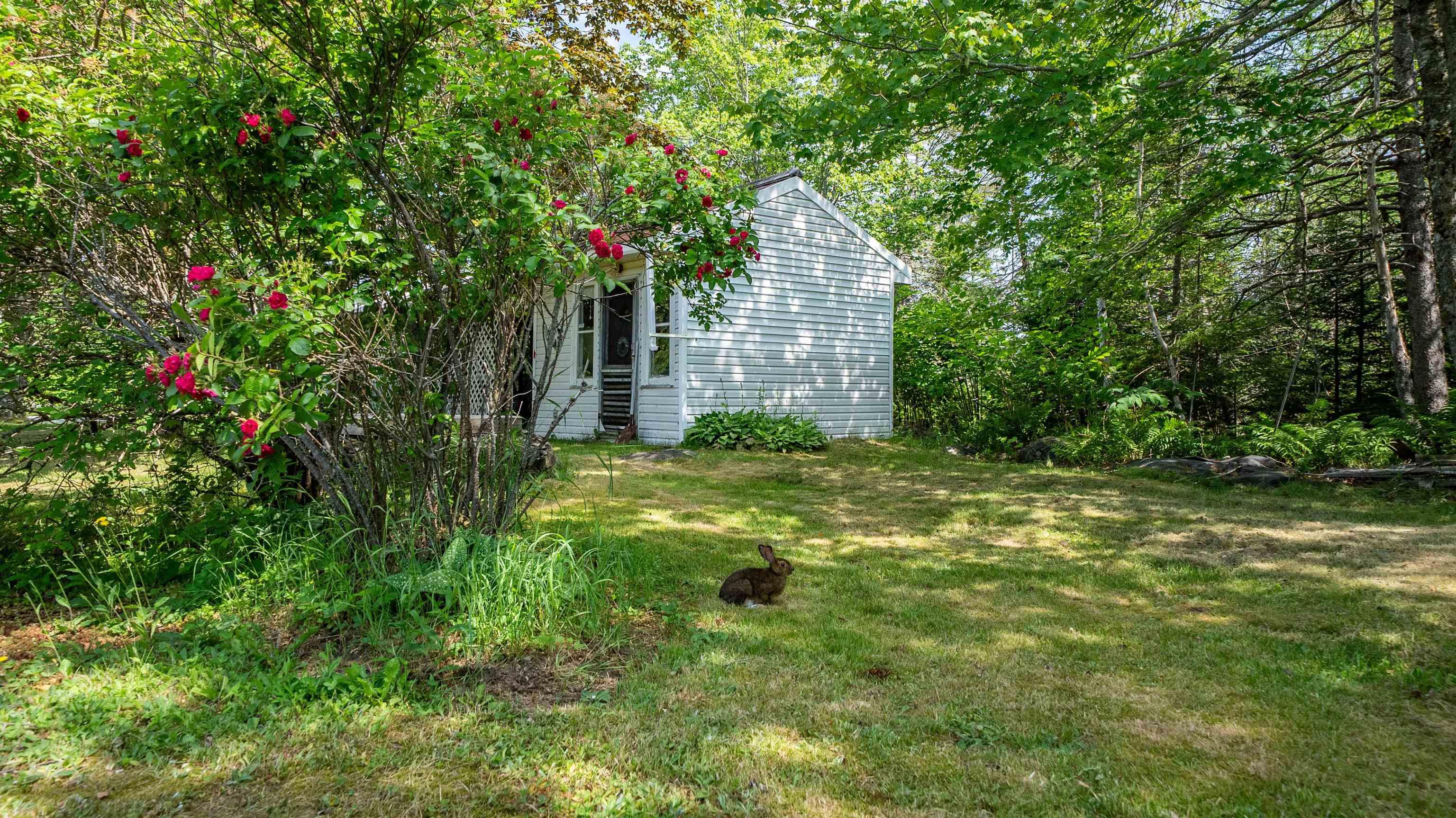 View image 11