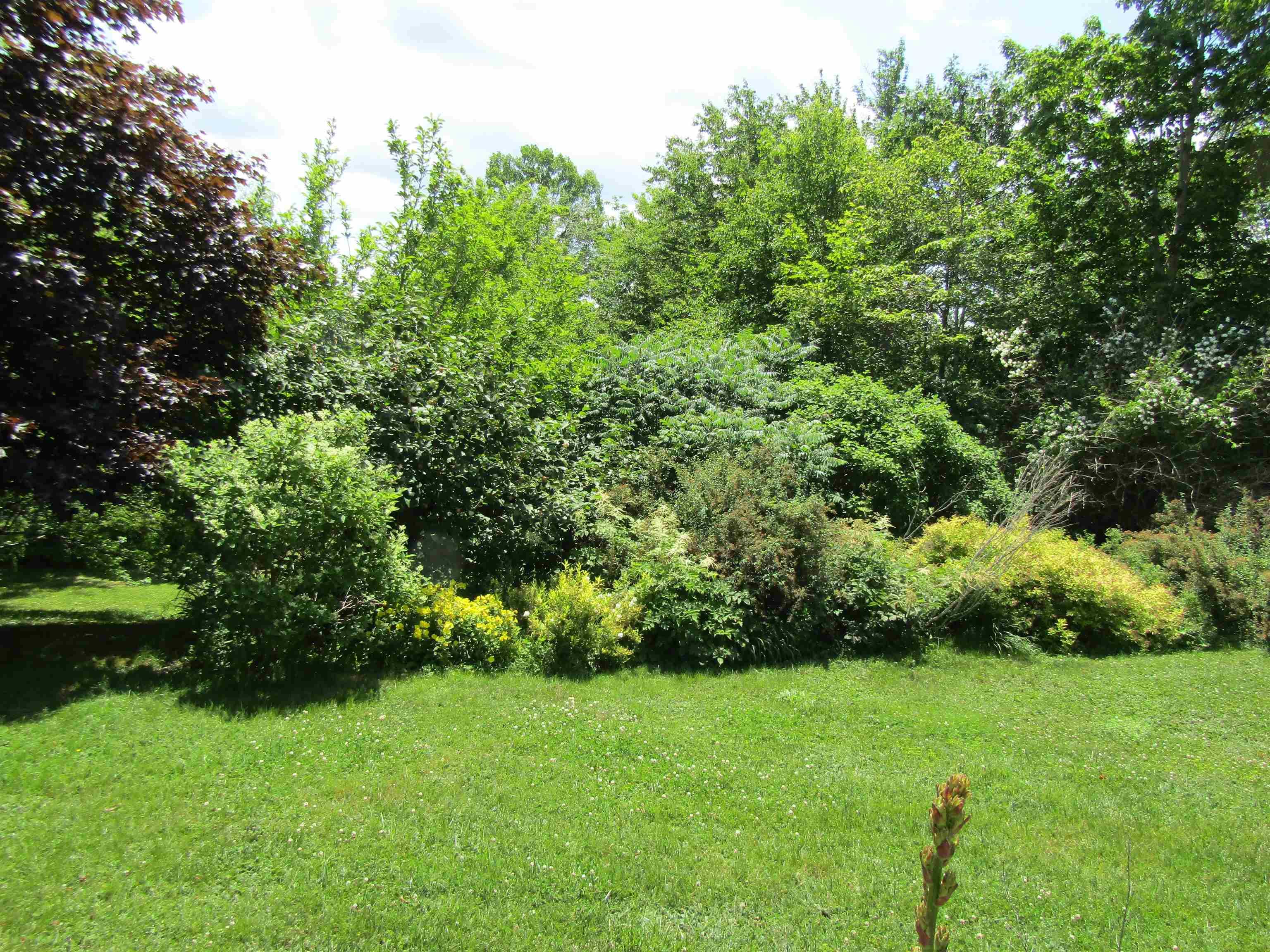 View image 10