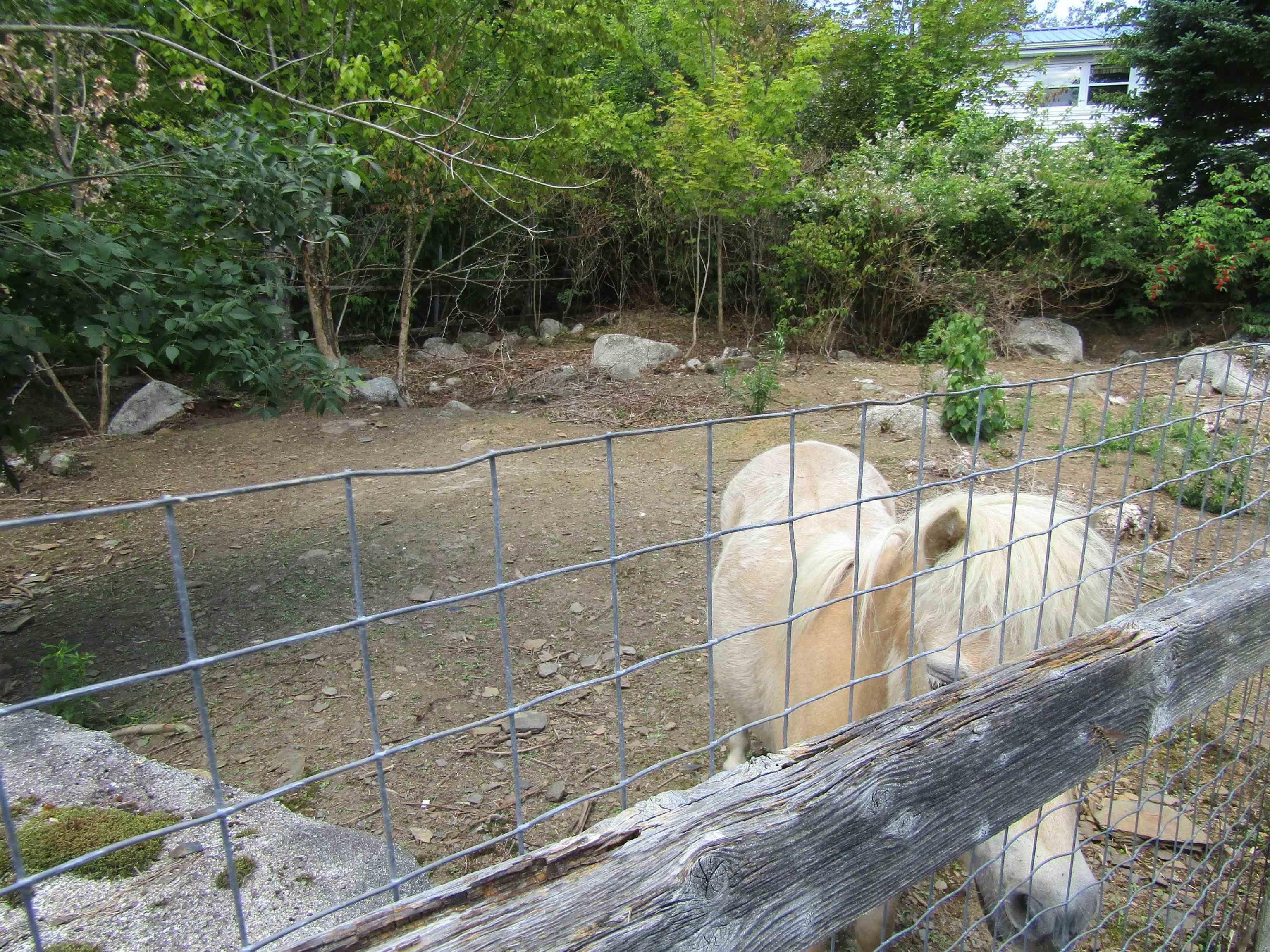 View image 4