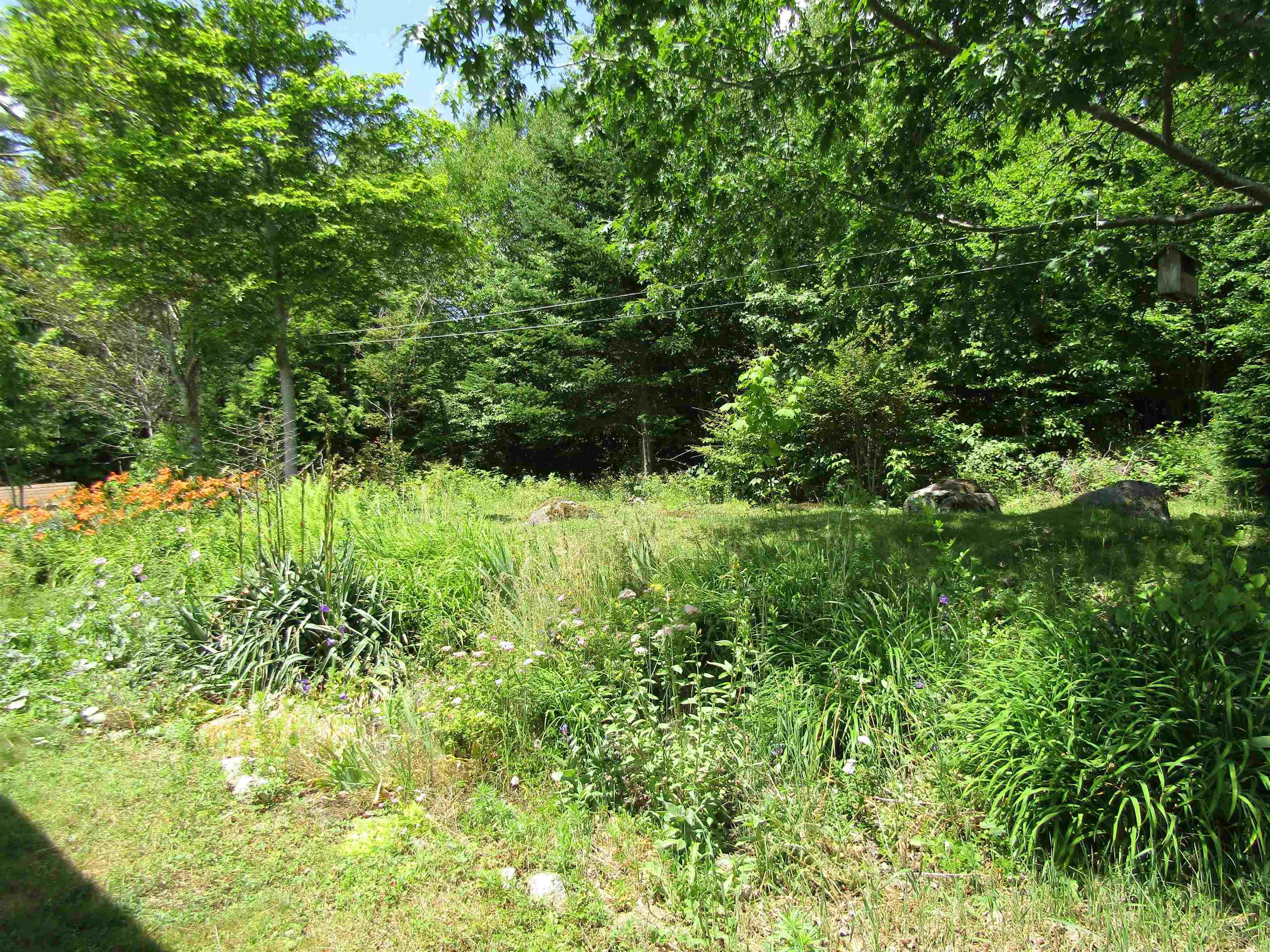 View image 5