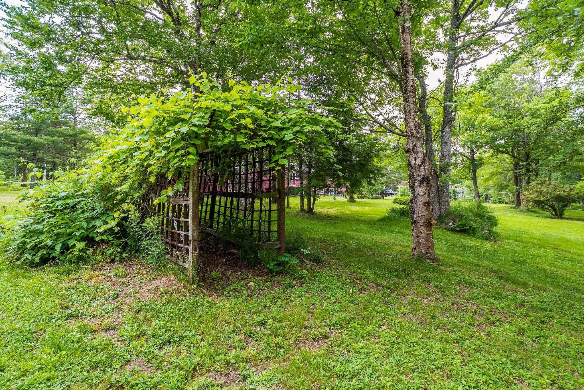 View image 46