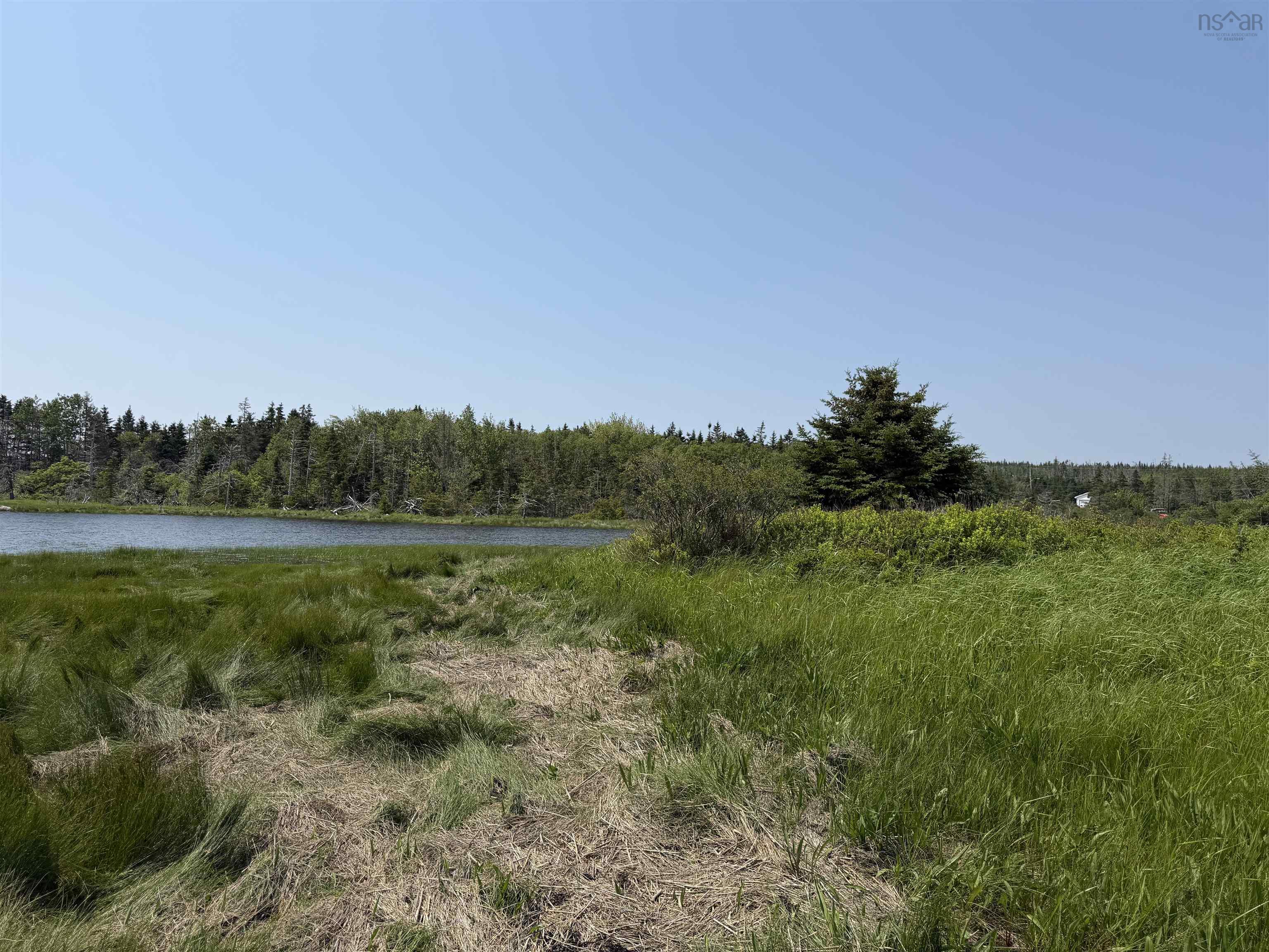 View image 50